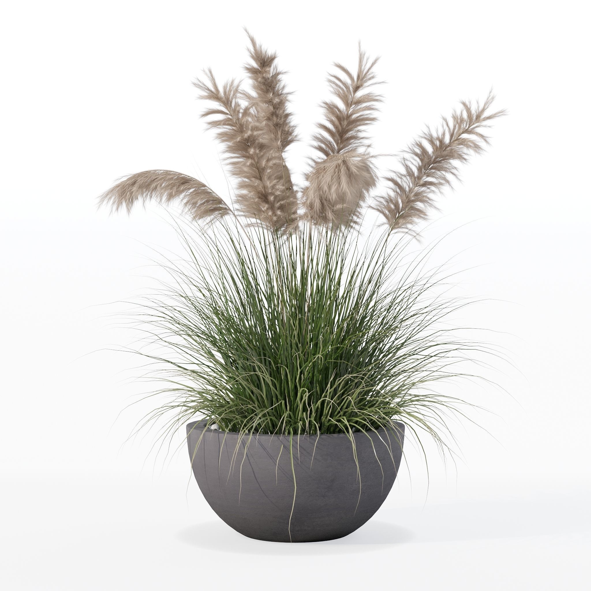 Grass in big flower pot 3D model_19