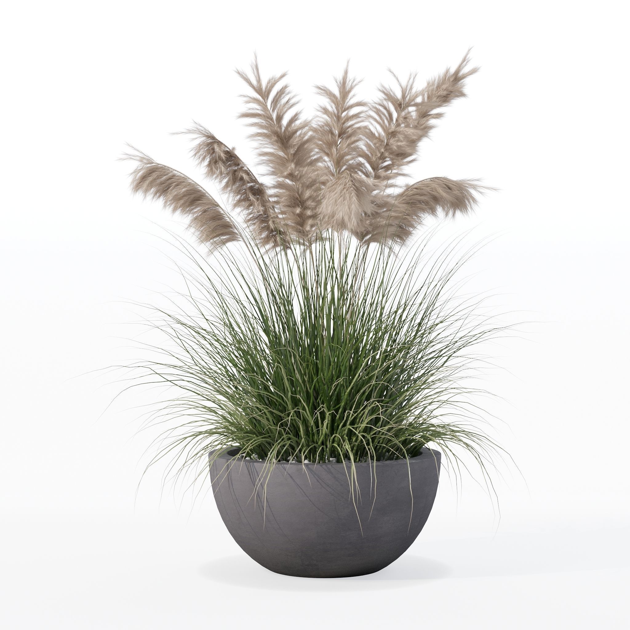 Grass in big flower pot 3D model_14