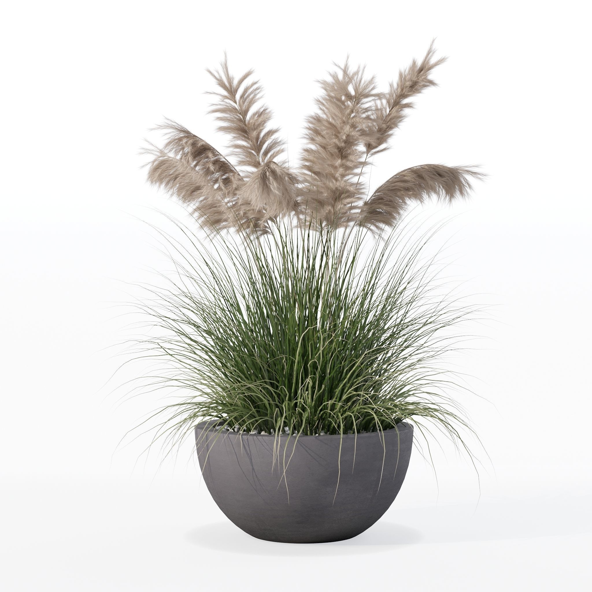 Grass in big flower pot 3D model_16