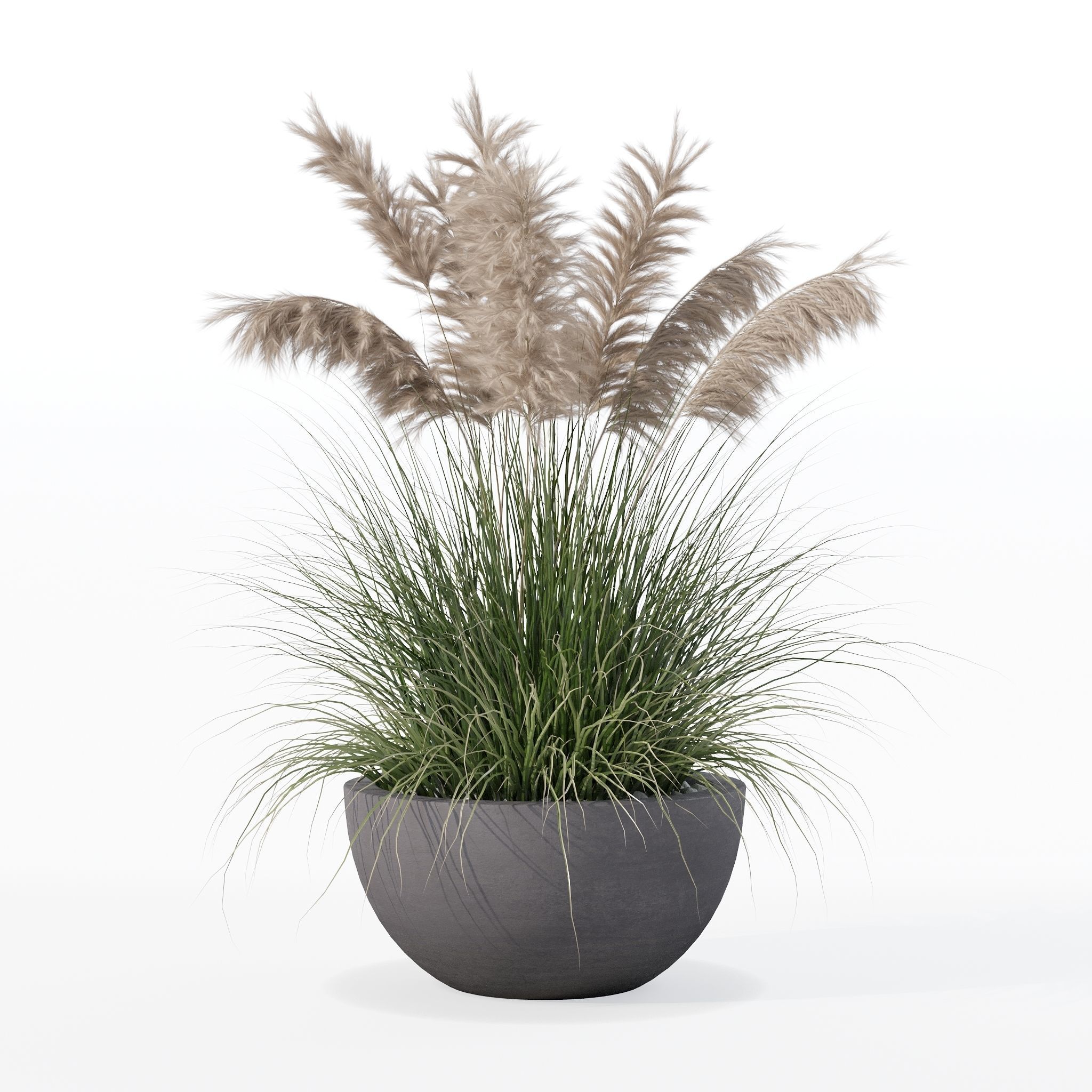Grass in big flower pot 3D model_24