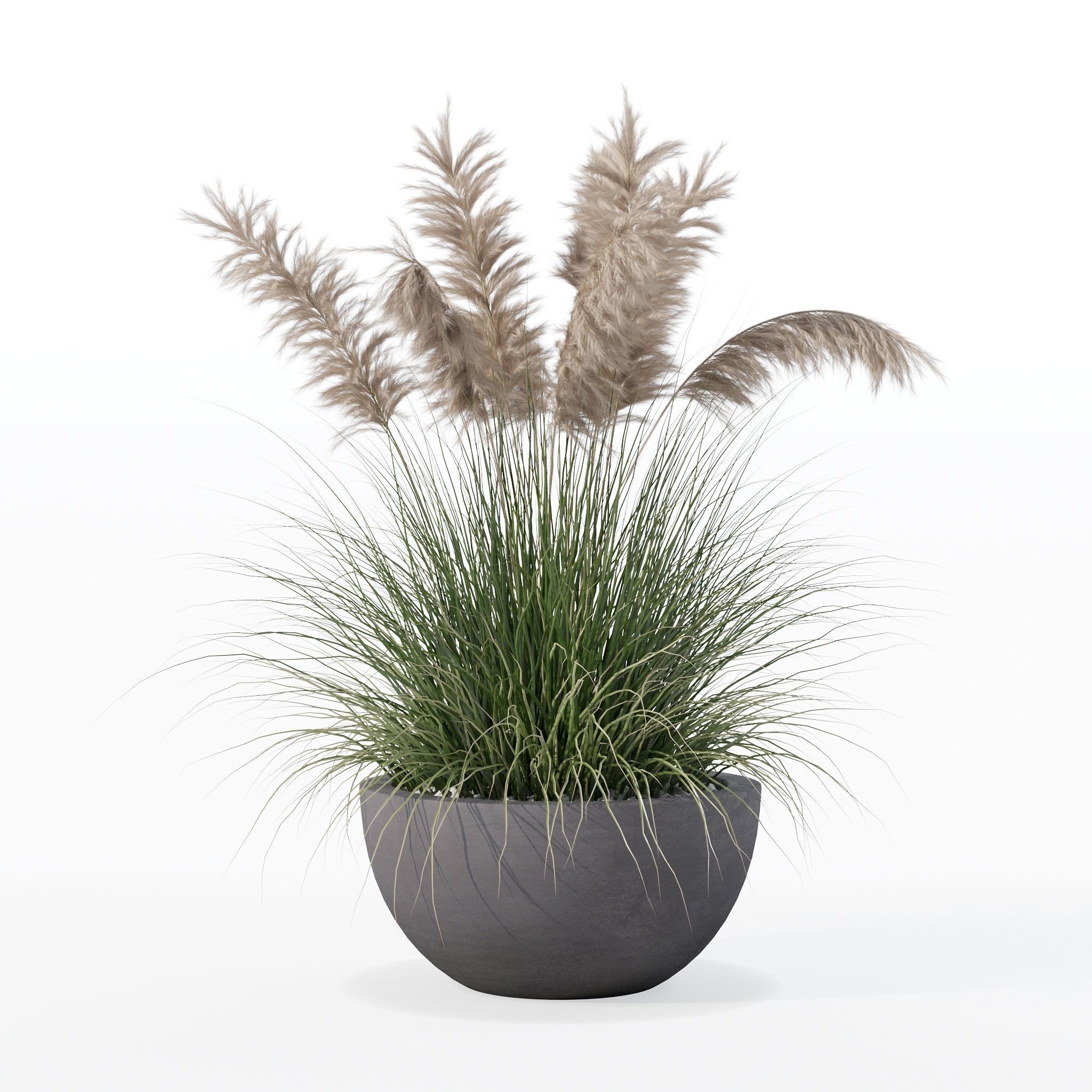 Grass in big flower pot 3D model_21