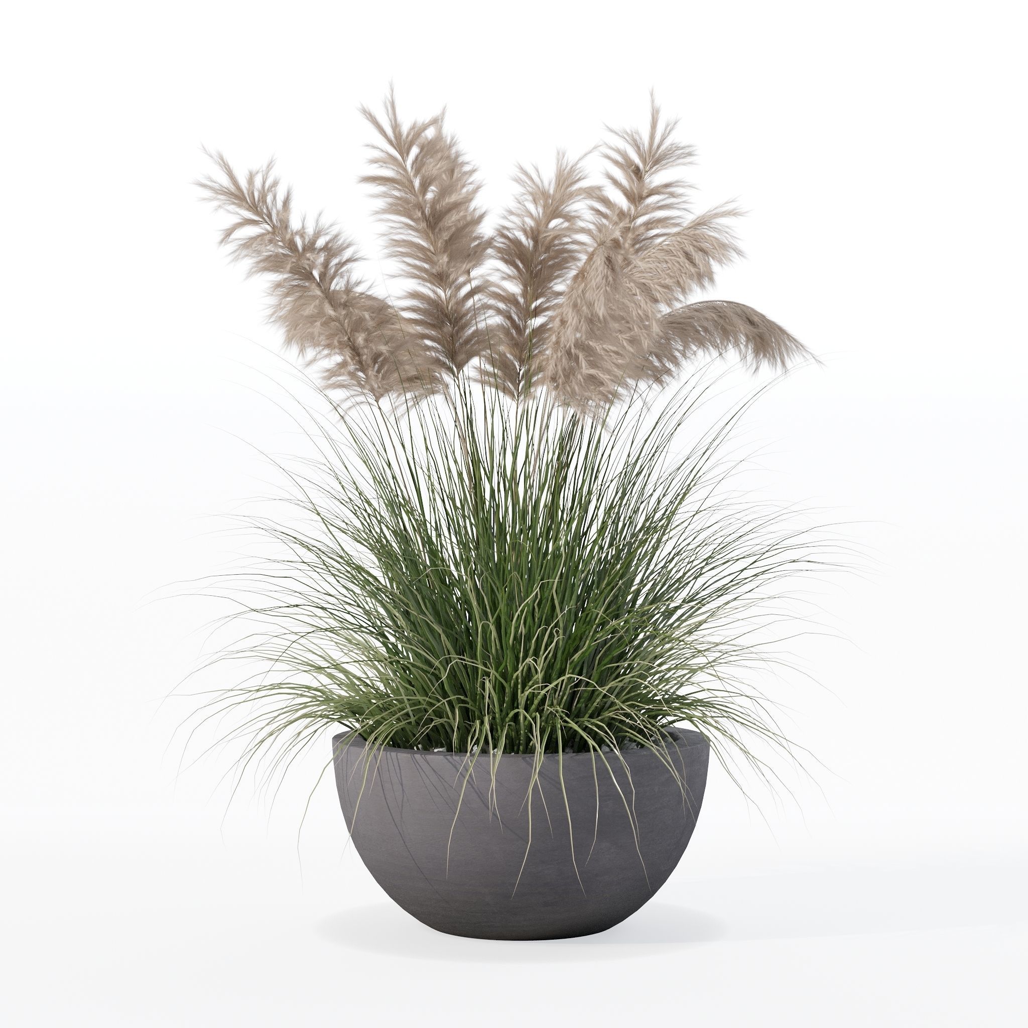 Grass in big flower pot 3D model_30