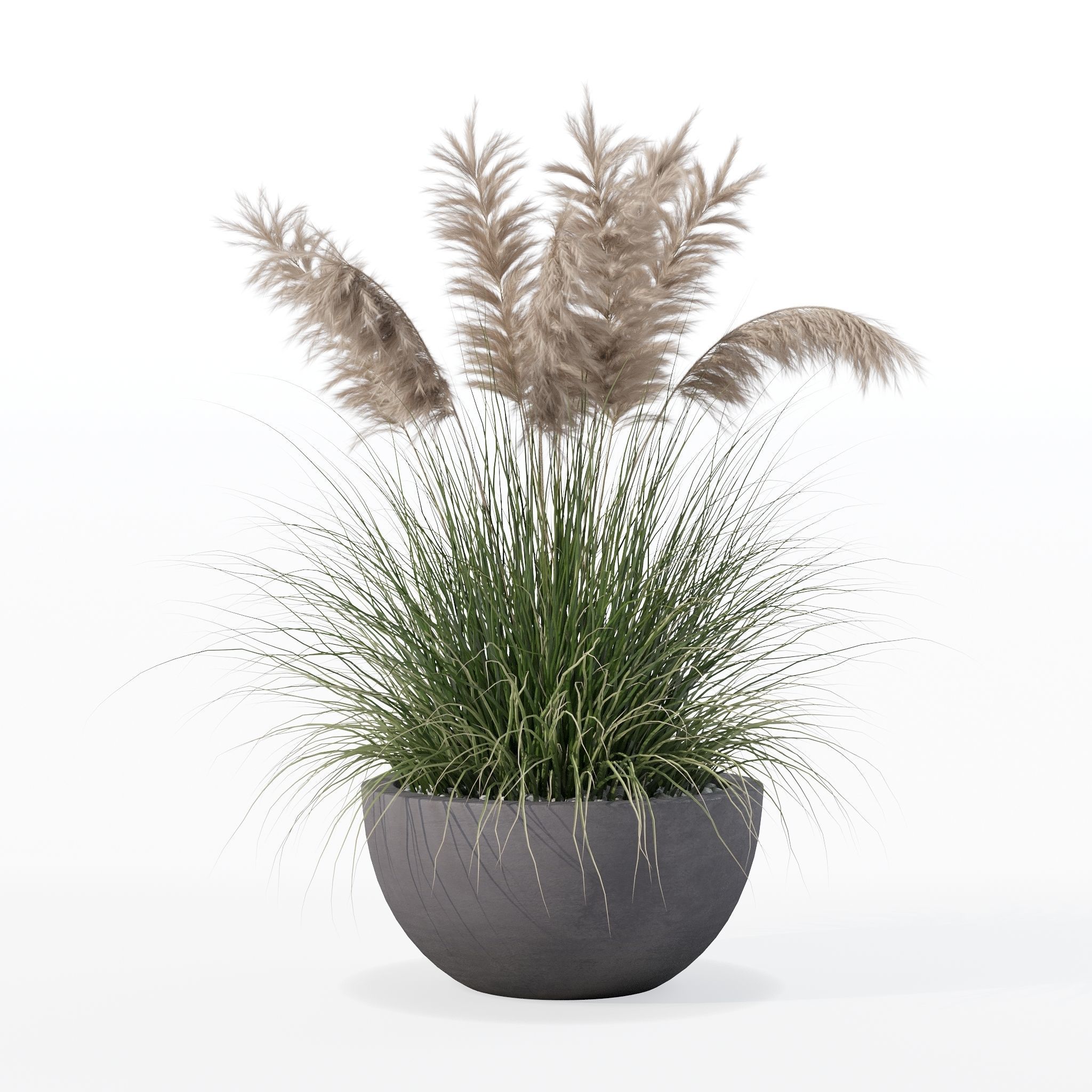 Grass in big flower pot 3D model_8