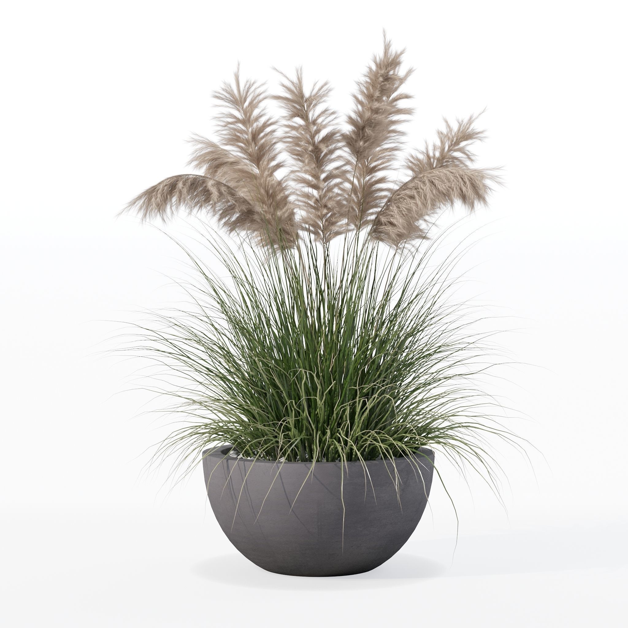 Grass in big flower pot 3D model_31