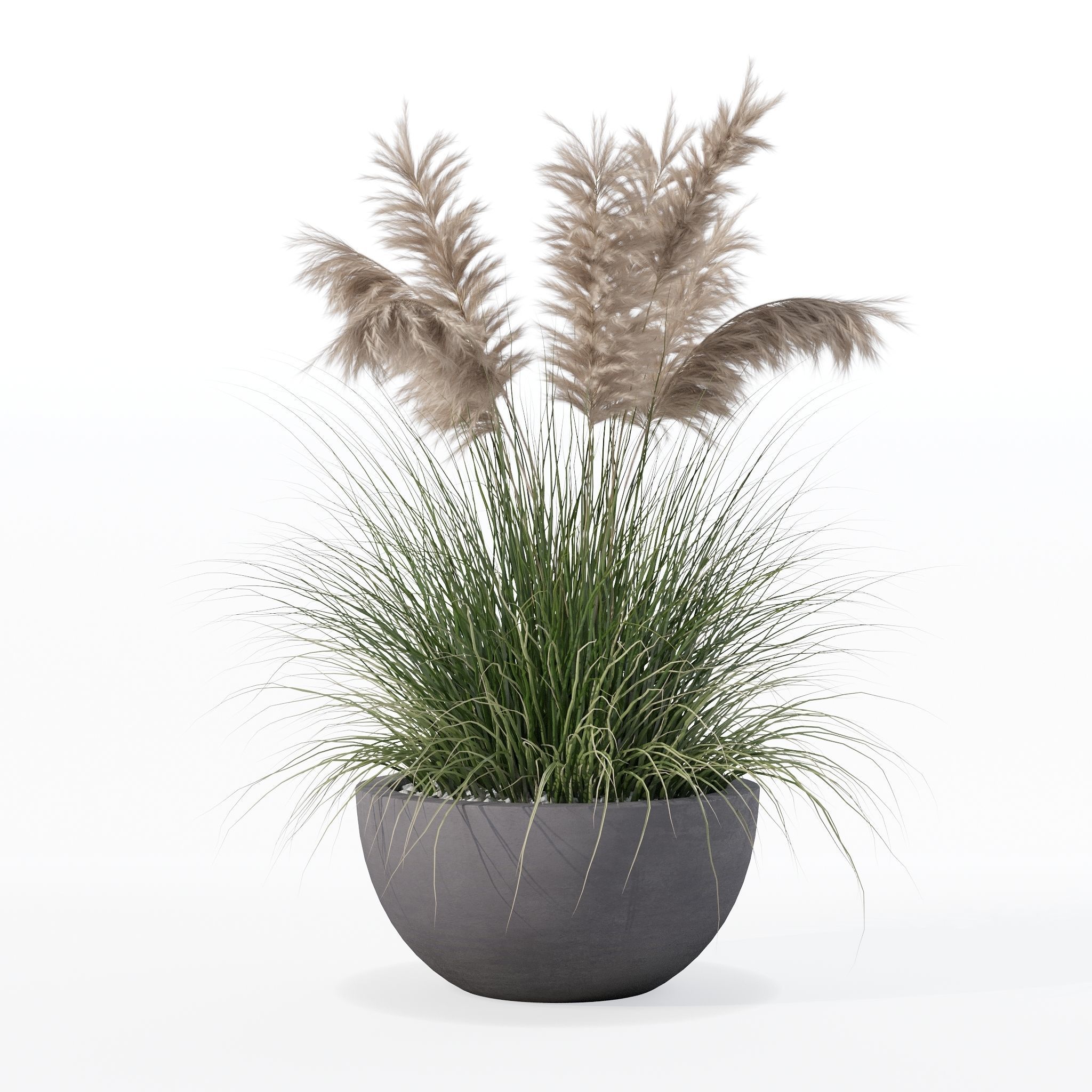 Grass in big flower pot 3D model_12