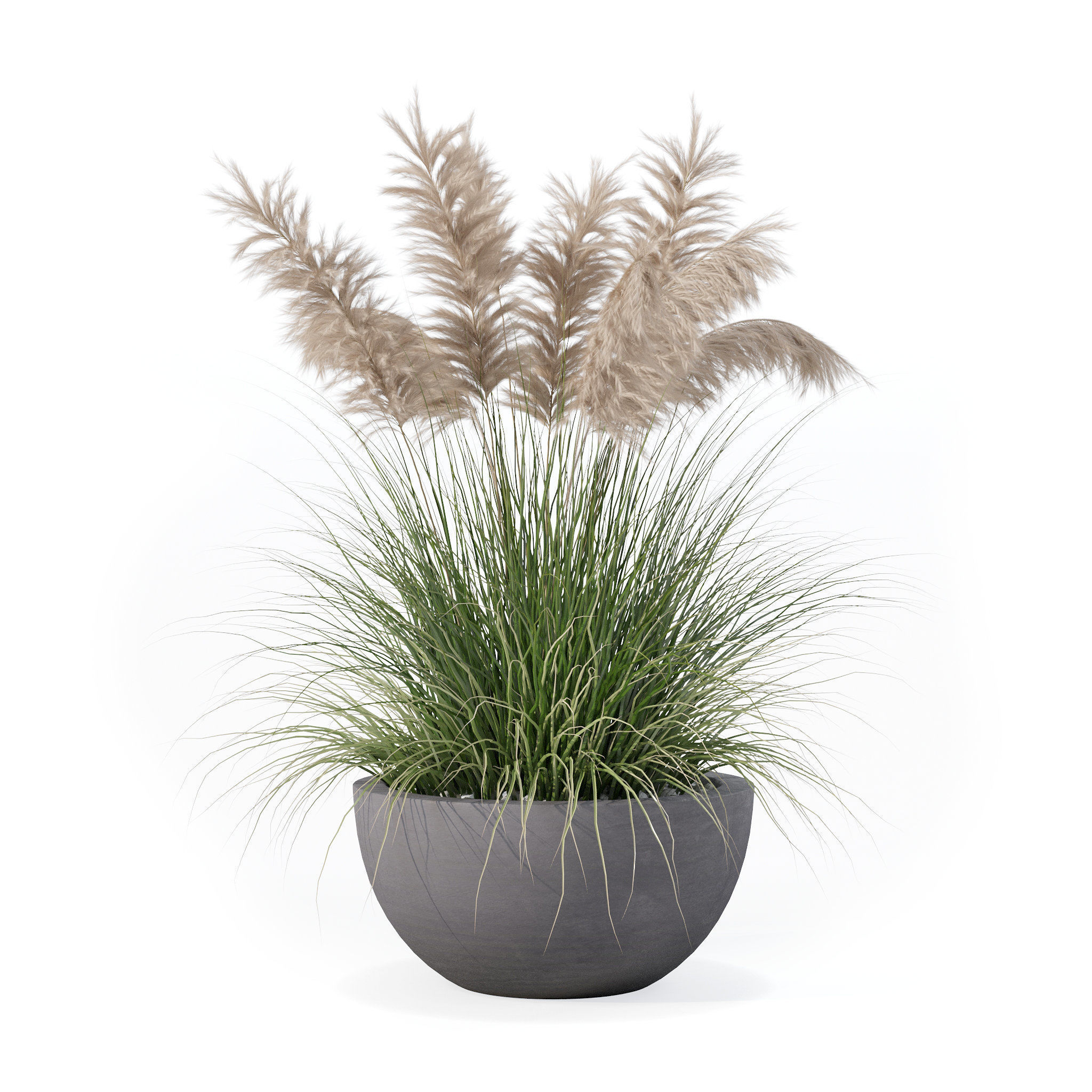Grass in big flower pot 3D model_9