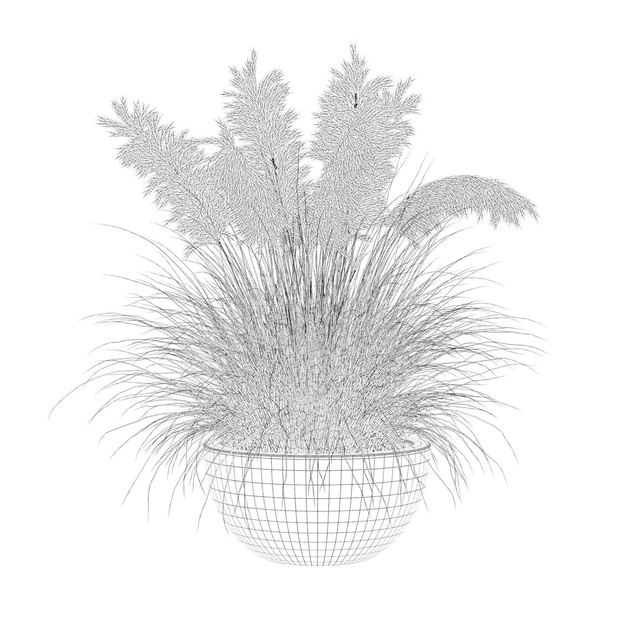 Grass in big flower pot 3D model_4