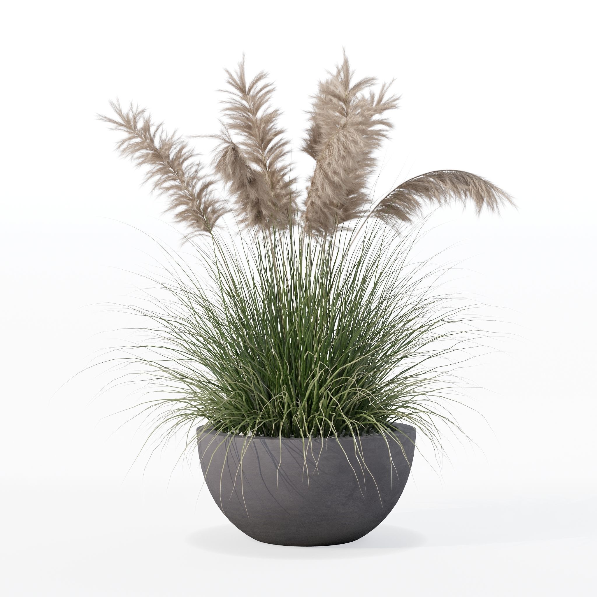 Grass in big flower pot 3D model_22