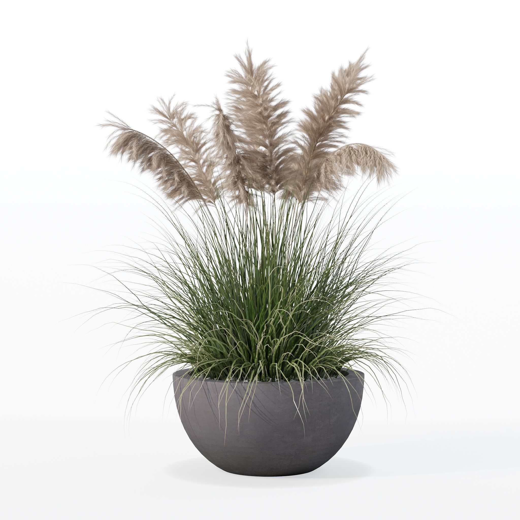 Grass in big flower pot 3D model_17