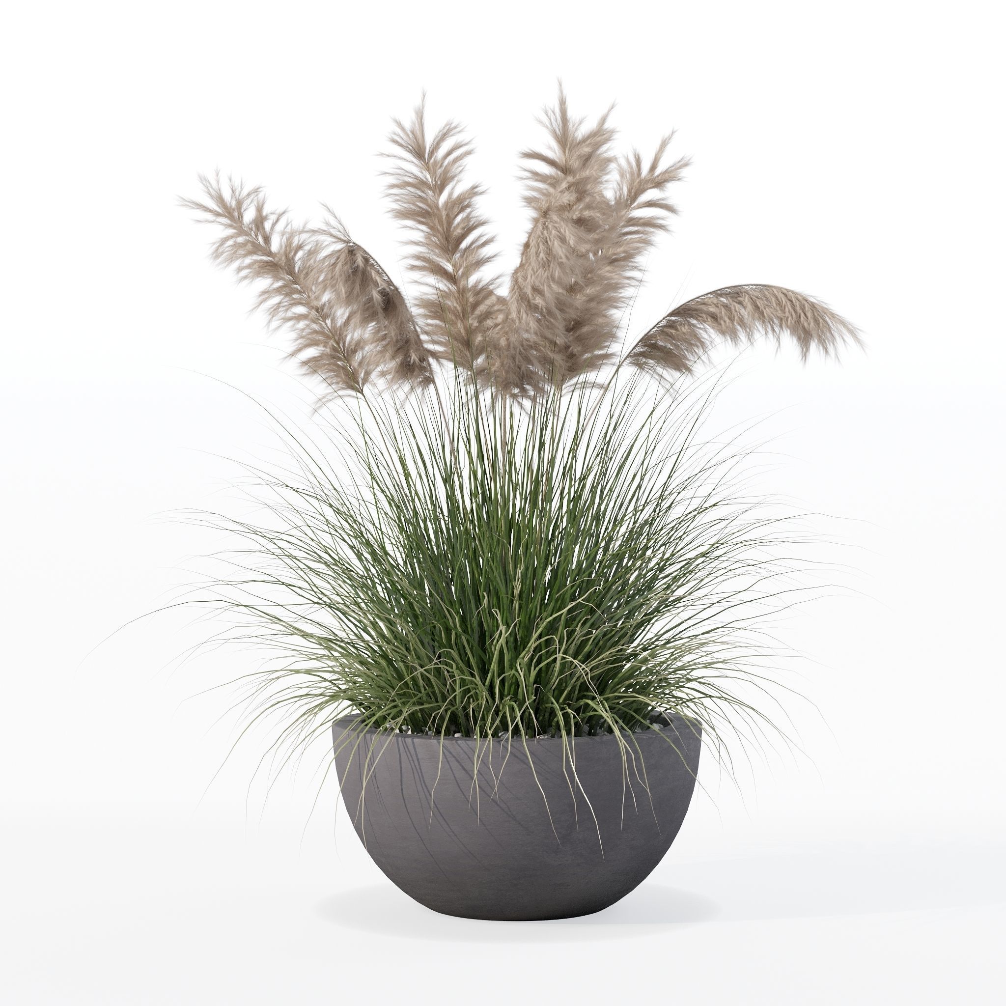 Grass in big flower pot 3D model_7
