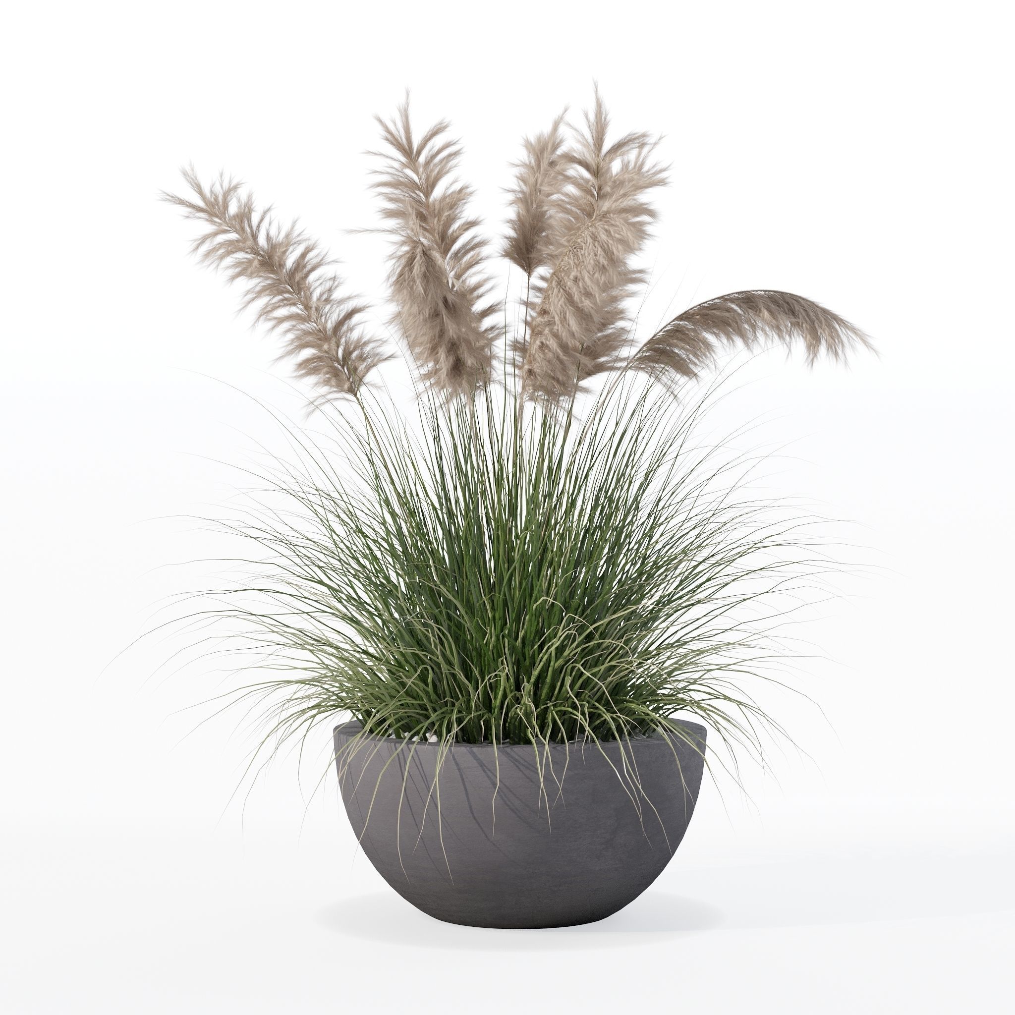 Grass in big flower pot 3D model_18