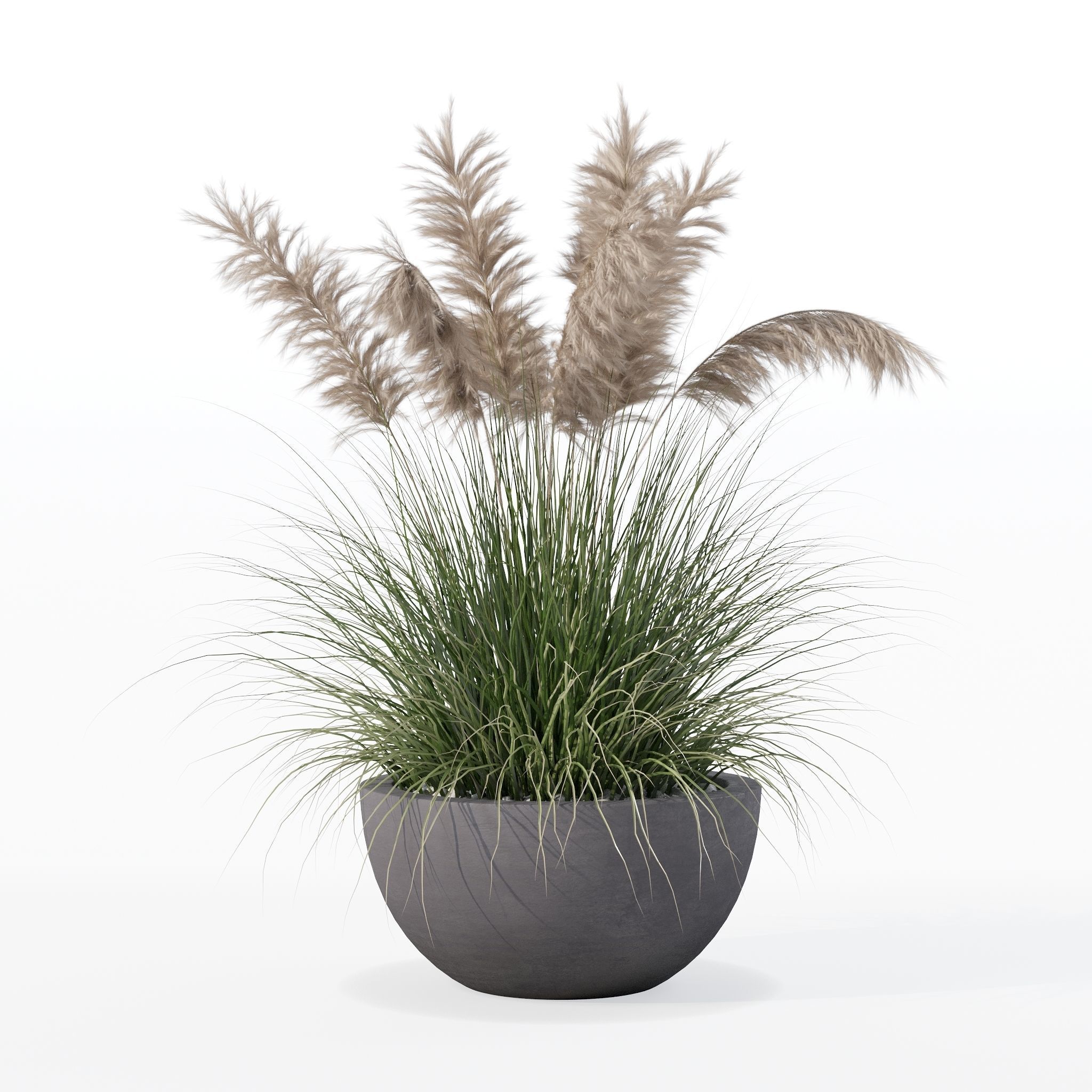 Grass in big flower pot 3D model_6