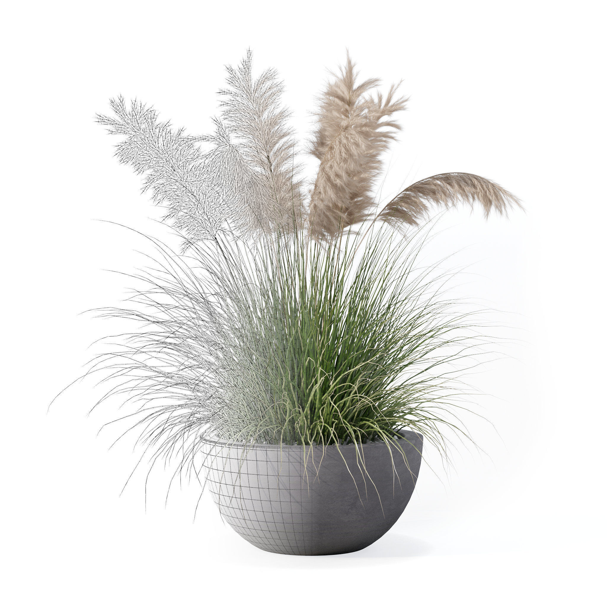 Grass in big flower pot 3D model_1