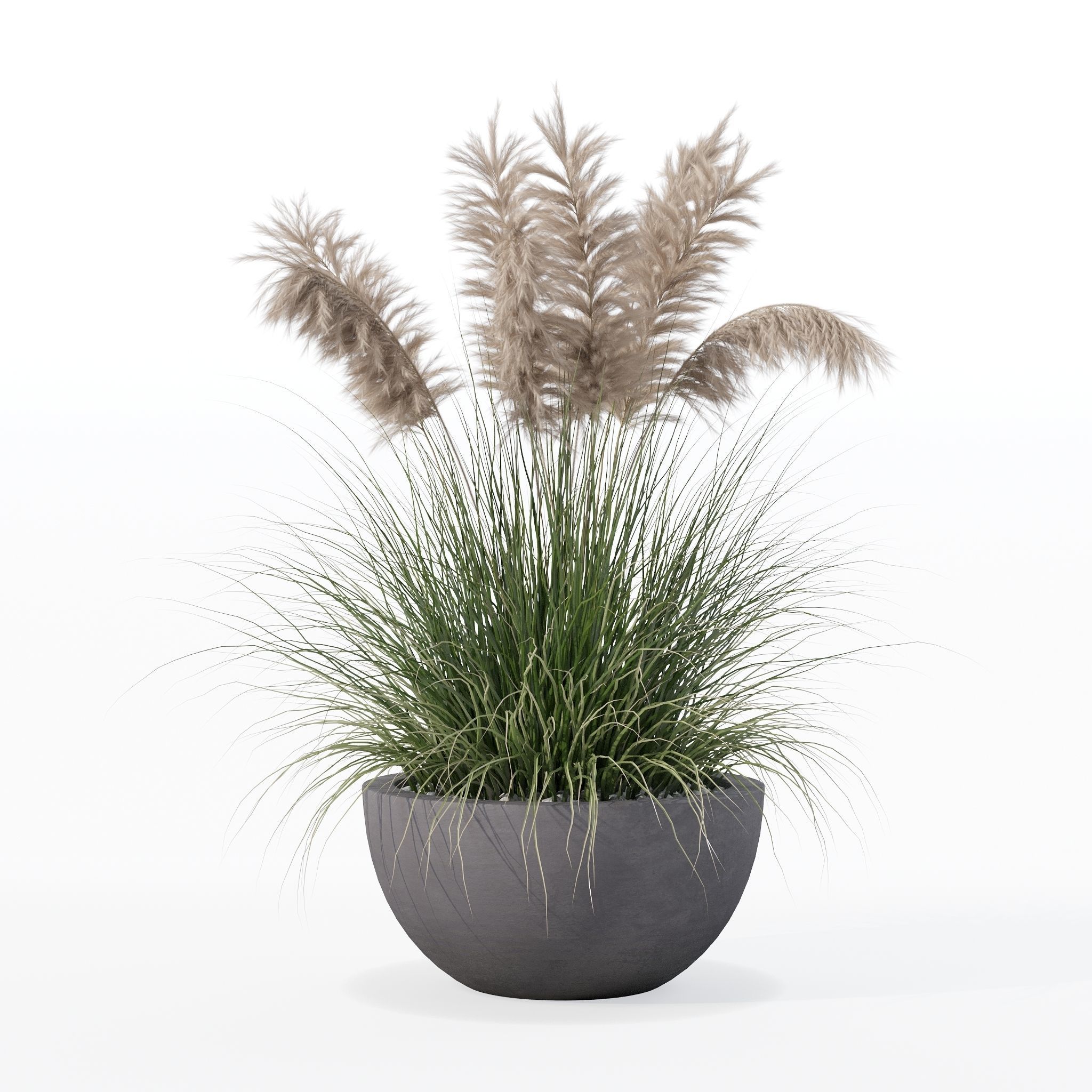 Grass in big flower pot 3D model_15