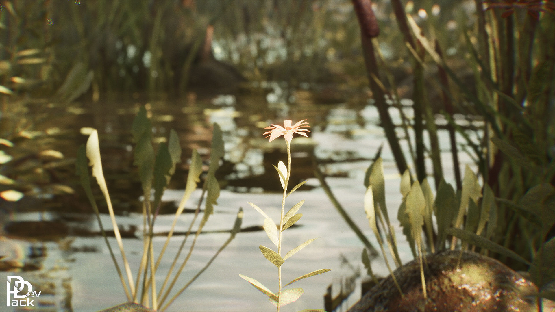 Swamp Environment 42 Assets Low-poly 3D model_12