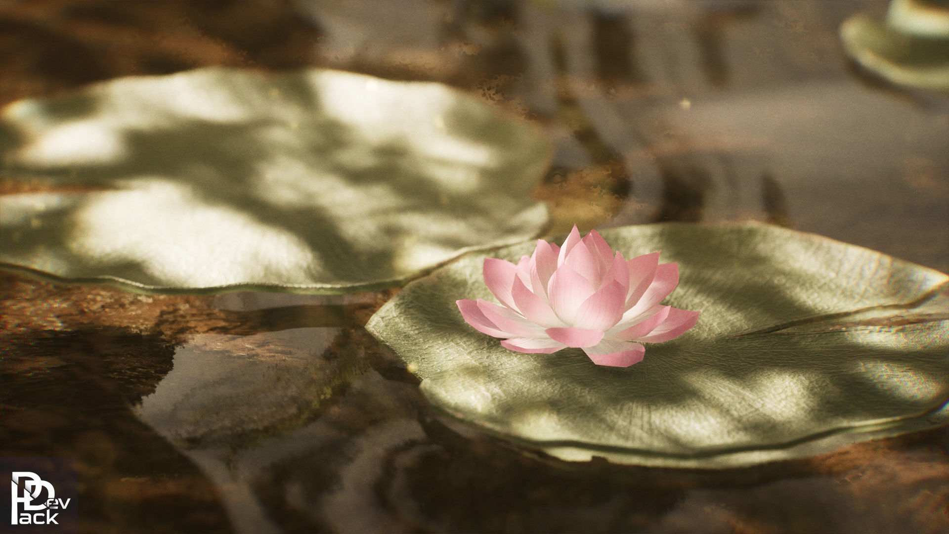 Swamp Environment 42 Assets Low-poly 3D model_2