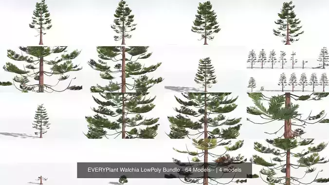 EVERYPlant Walchia LowPoly Bundle --64 Models-- 3D Model Collection