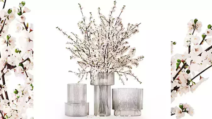 White bouquet of sakura cherry blossom branches 345