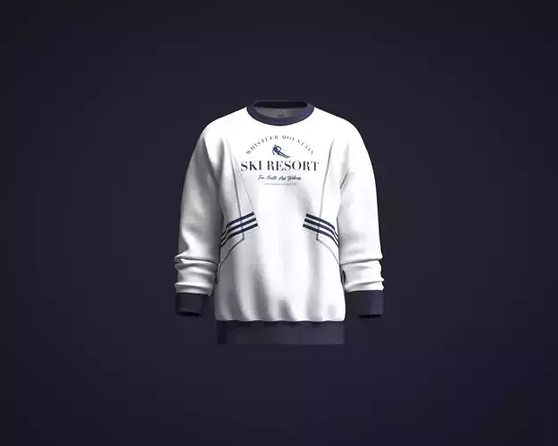 Mens ski stripes graphic sweatshirt with cut and sew detailing