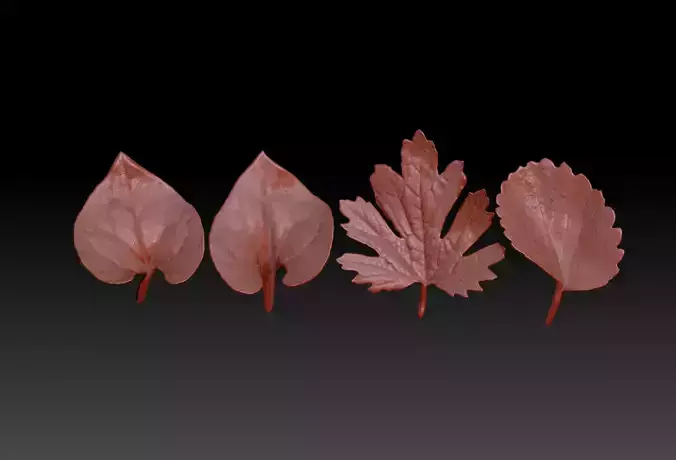  leaves  motherwort leaves  print STL leaf brush