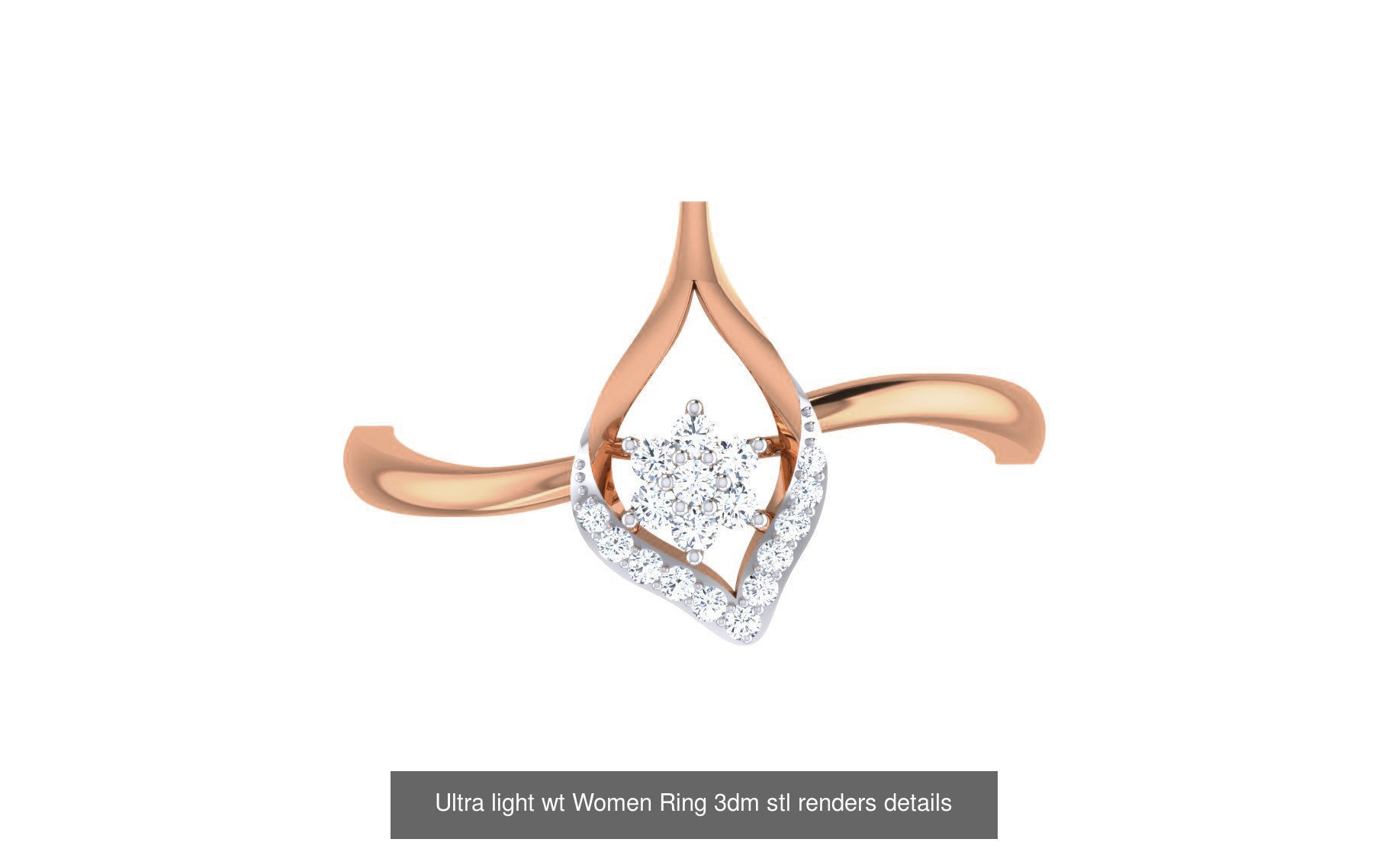 111 Ultra light wt Women Ring 3dm stl renders details 3D Model Collection_68