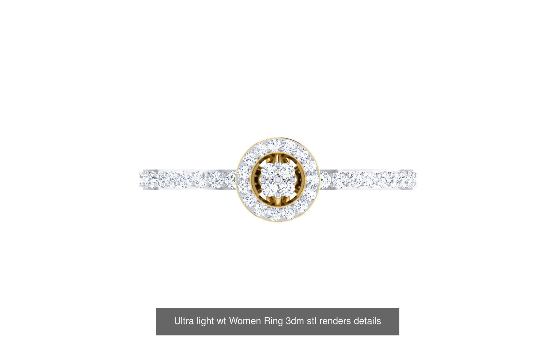 111 Ultra light wt Women Ring 3dm stl renders details 3D Model Collection_73