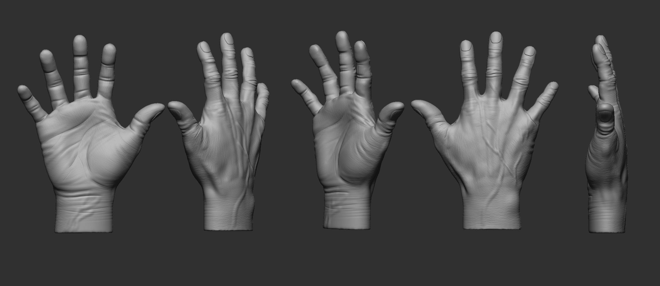 hand anatomy 3D print model_1