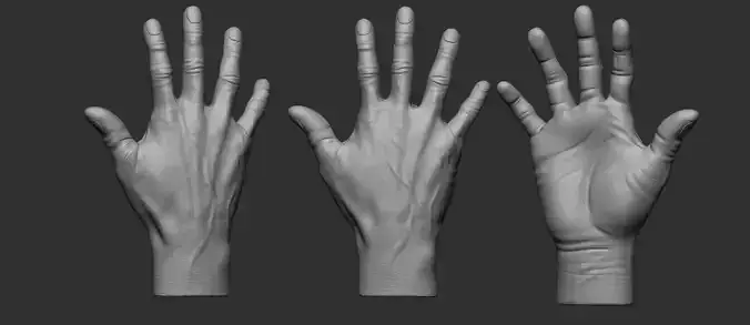 hand anatomy 3D print model