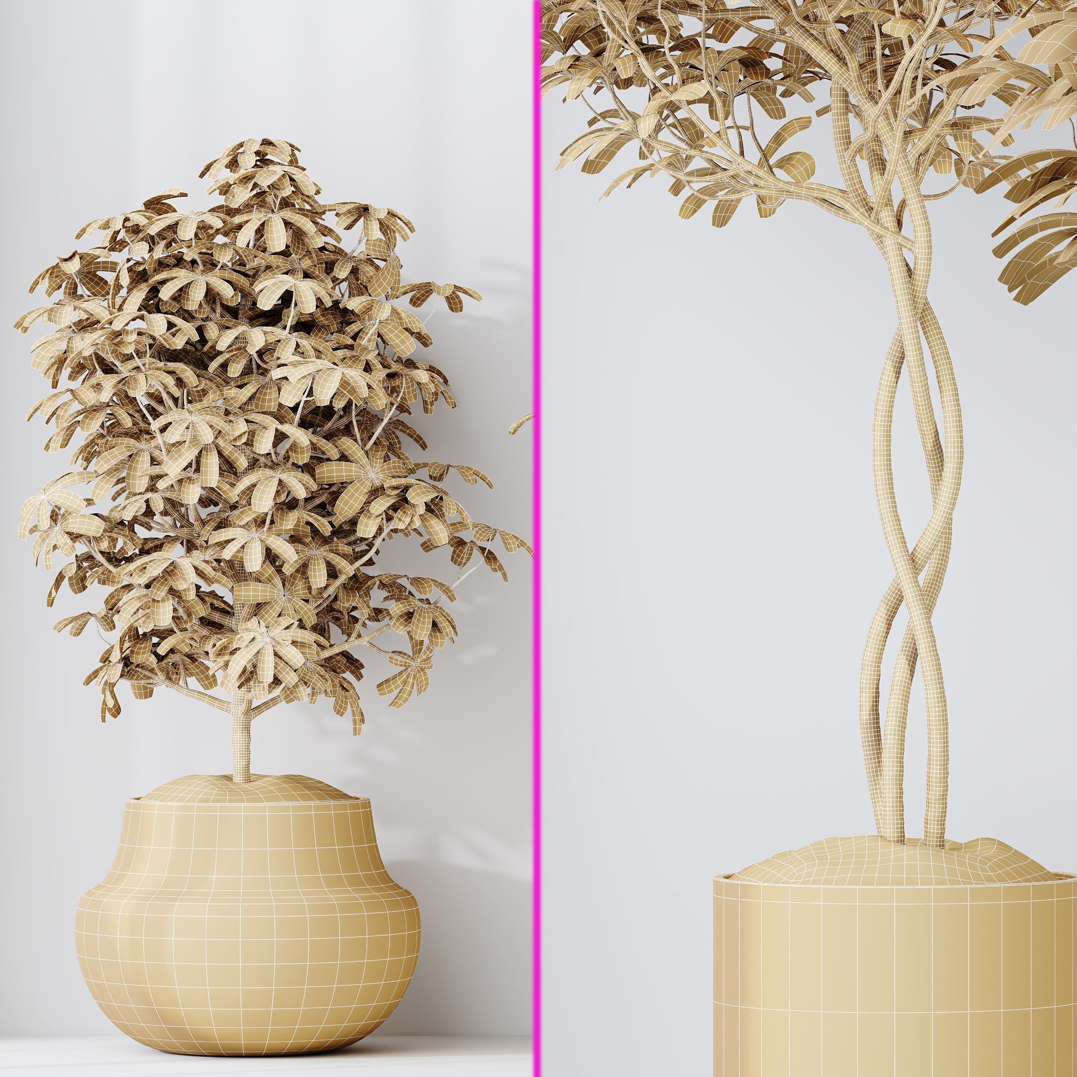 6 Different SETS of Plant Indoor SET VOL117 3D Model Collection_10