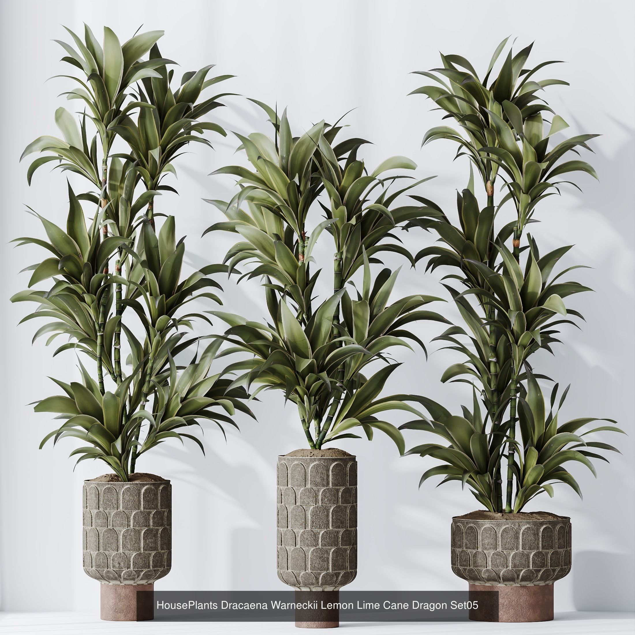 6 Different SETS of Plant Indoor SET VOL117 3D Model Collection_6