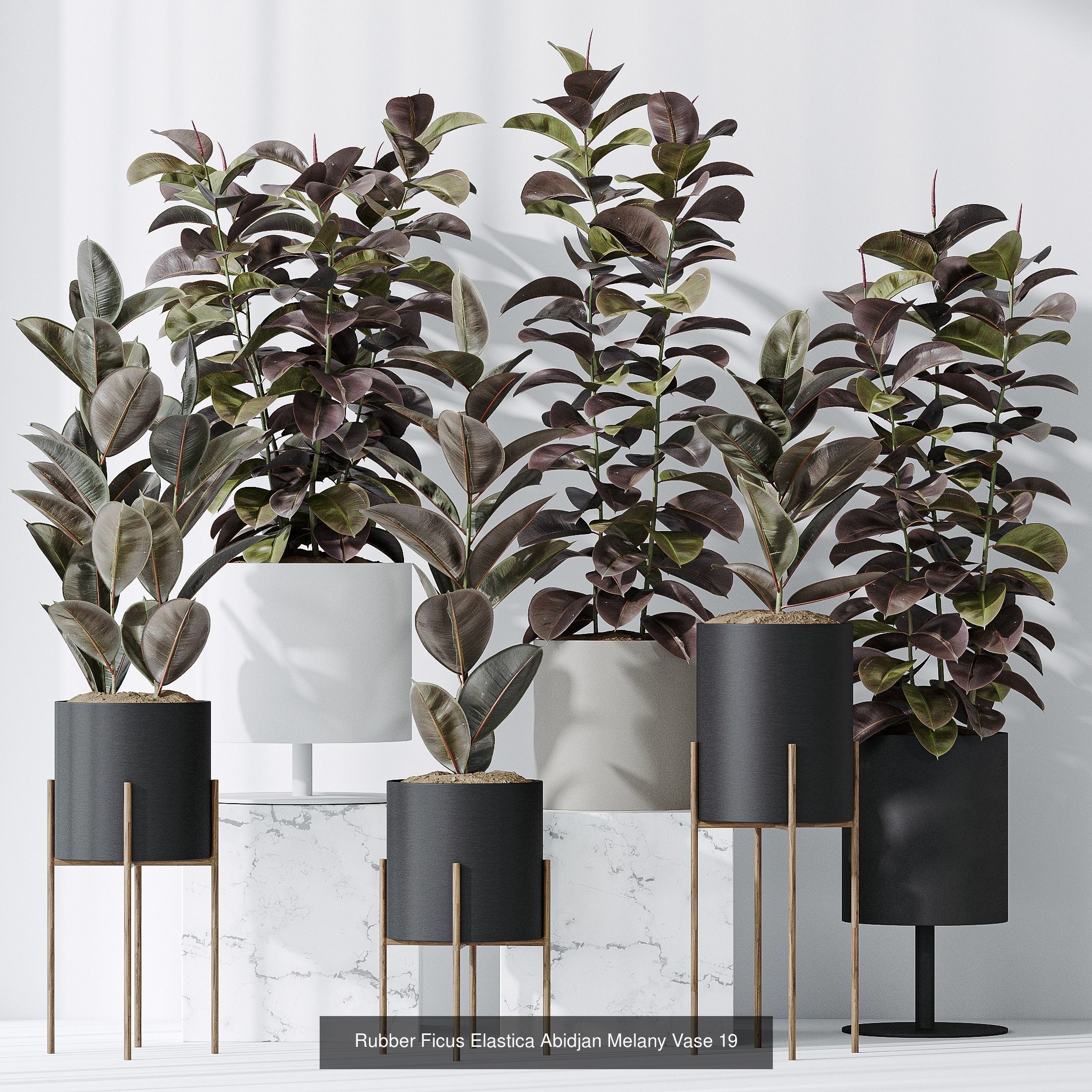 6 Different SETS of Plant Indoor SET VOL117 3D Model Collection_3