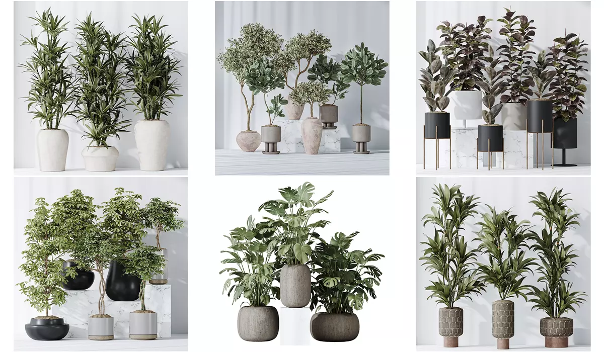 6 Different SETS of Plant Indoor SET VOL117 3D Model Collection_0