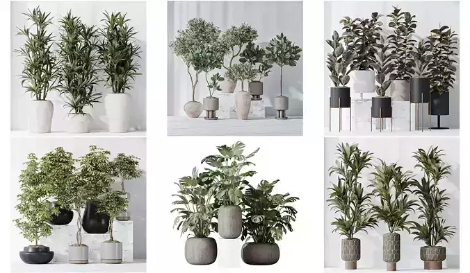 6 Different SETS of Plant Indoor SET VOL117 3D Model Collection