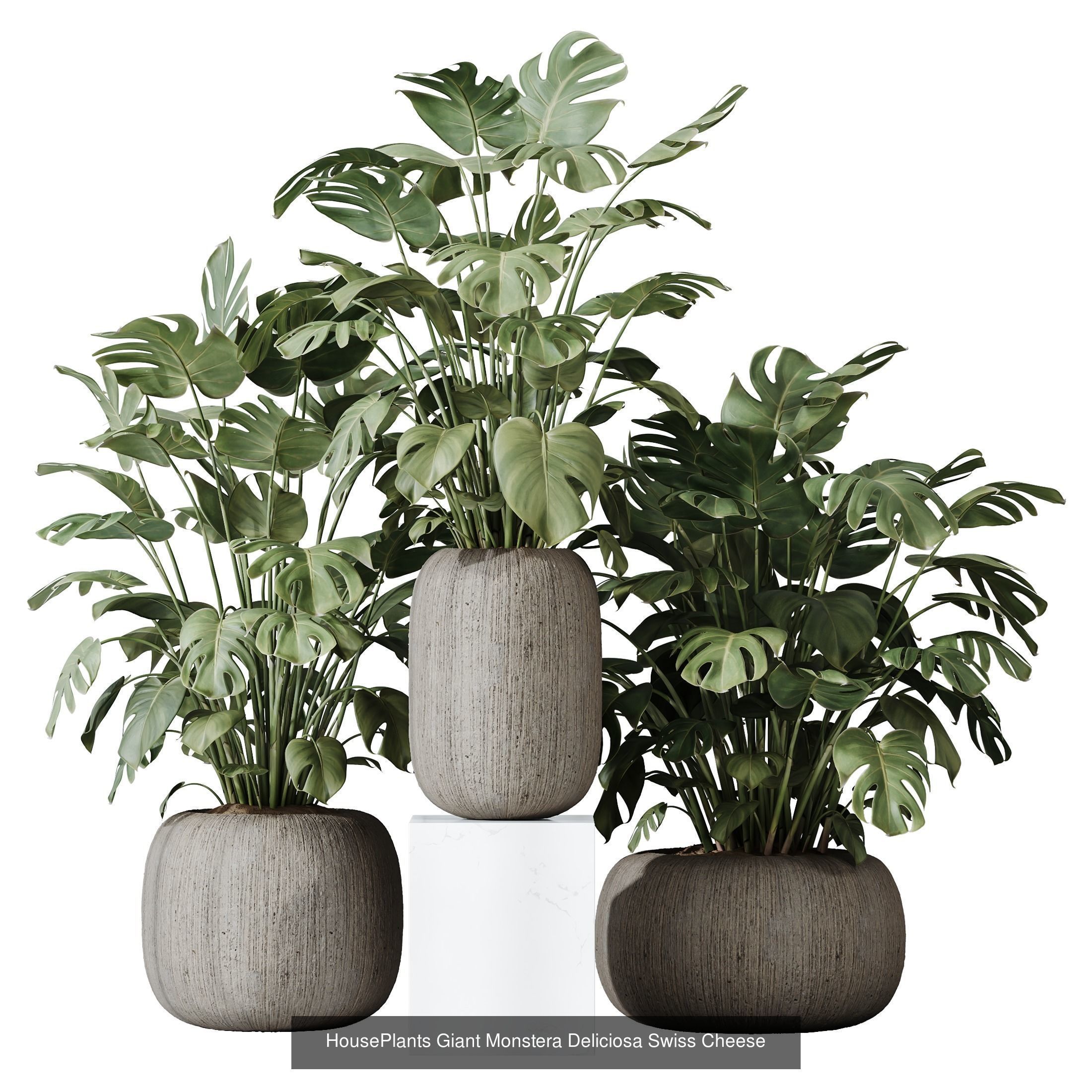 6 Different SETS of Plant Indoor SET VOL117 3D Model Collection_5