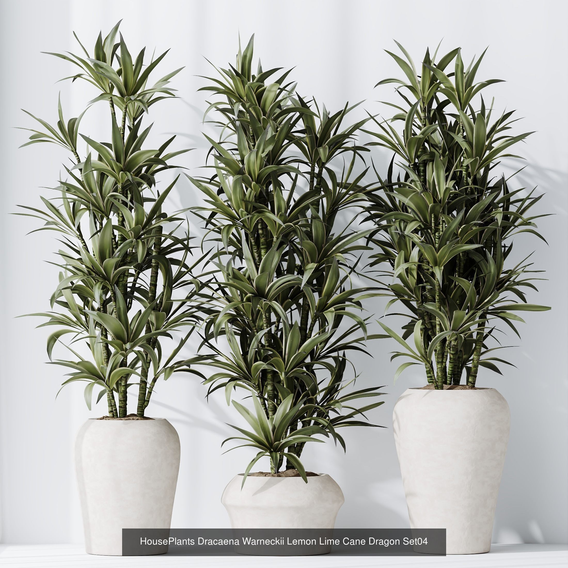 6 Different SETS of Plant Indoor SET VOL117 3D Model Collection_1