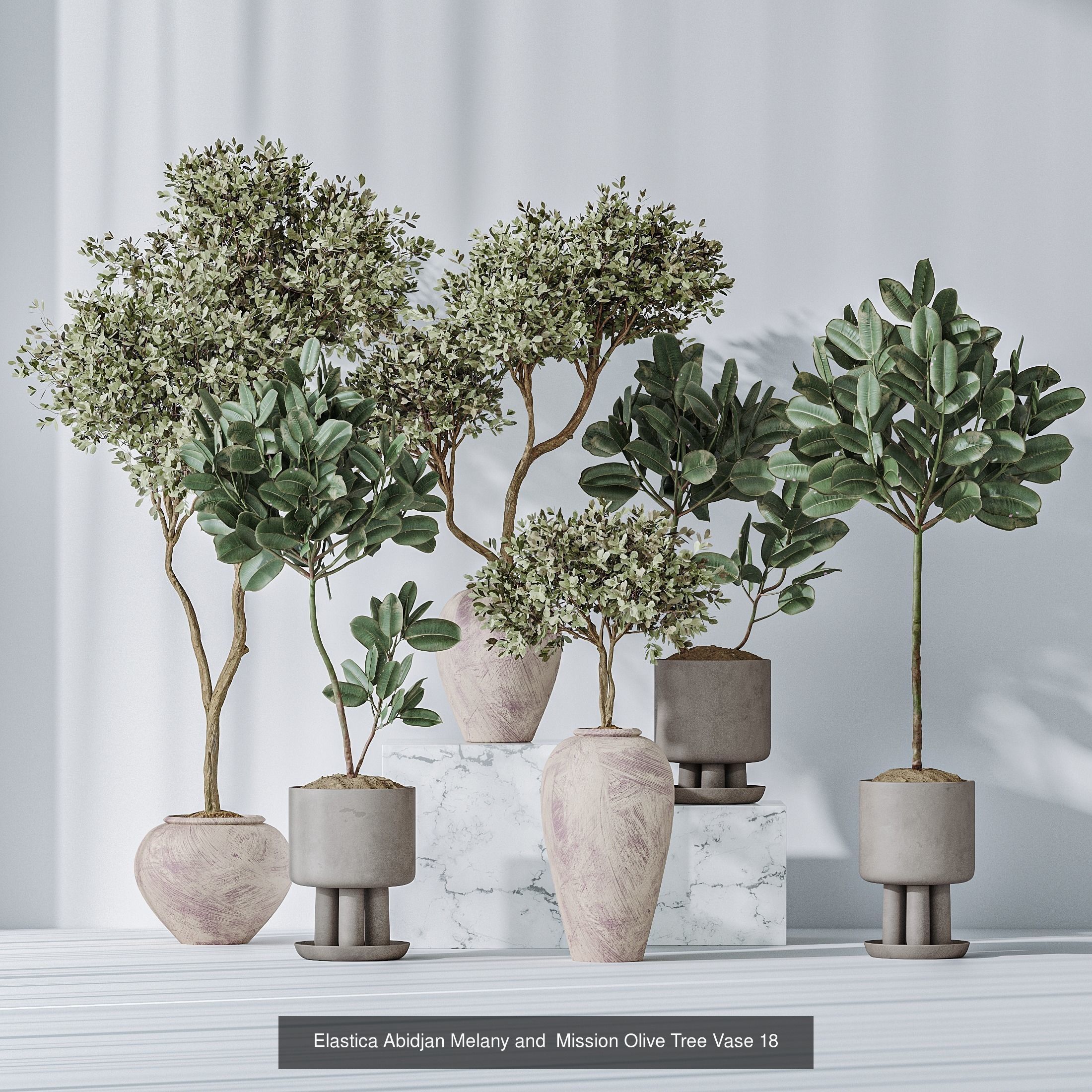 6 Different SETS of Plant Indoor SET VOL117 3D Model Collection_2
