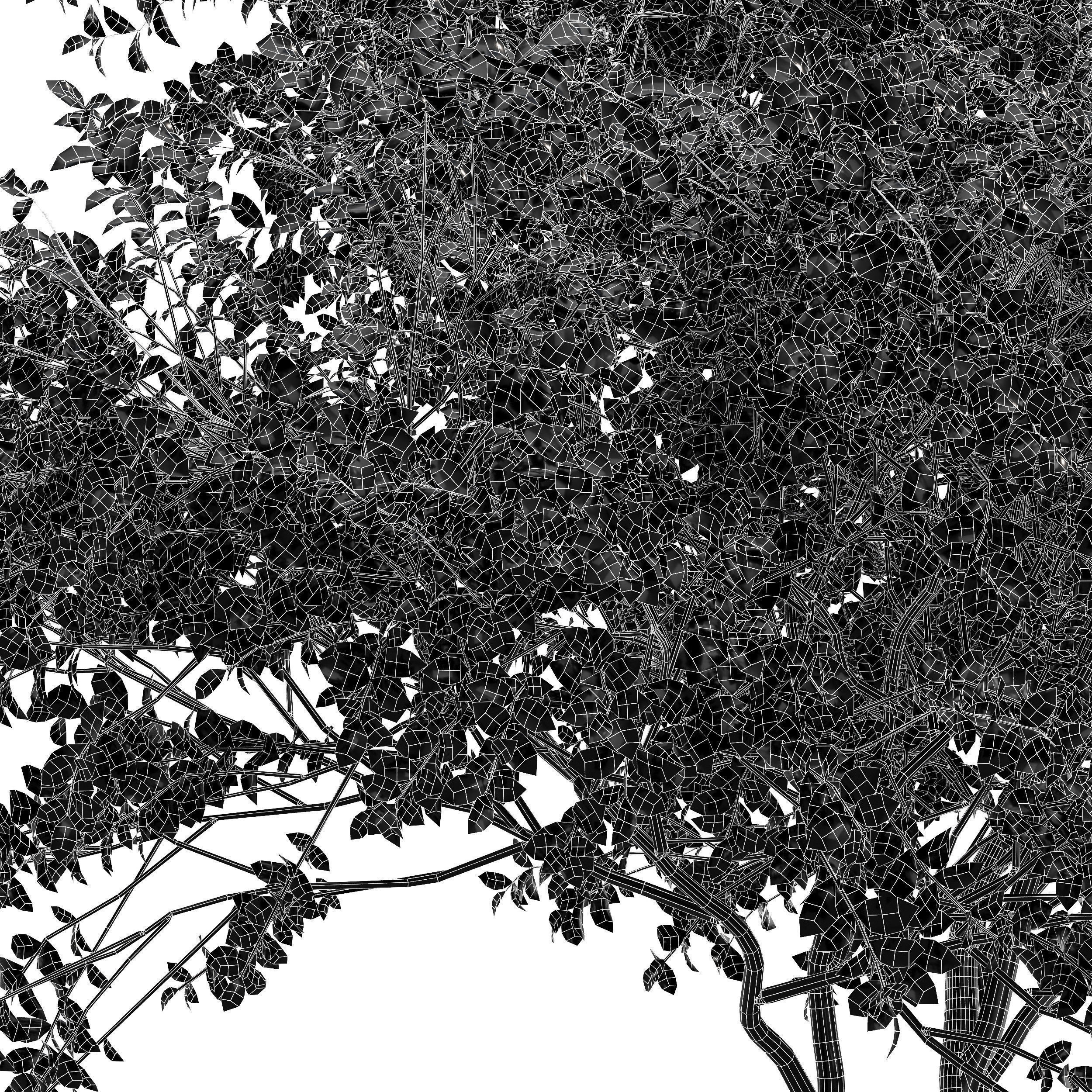 6 Different SETS of Tree SET VOL118 3D Model Collection_16