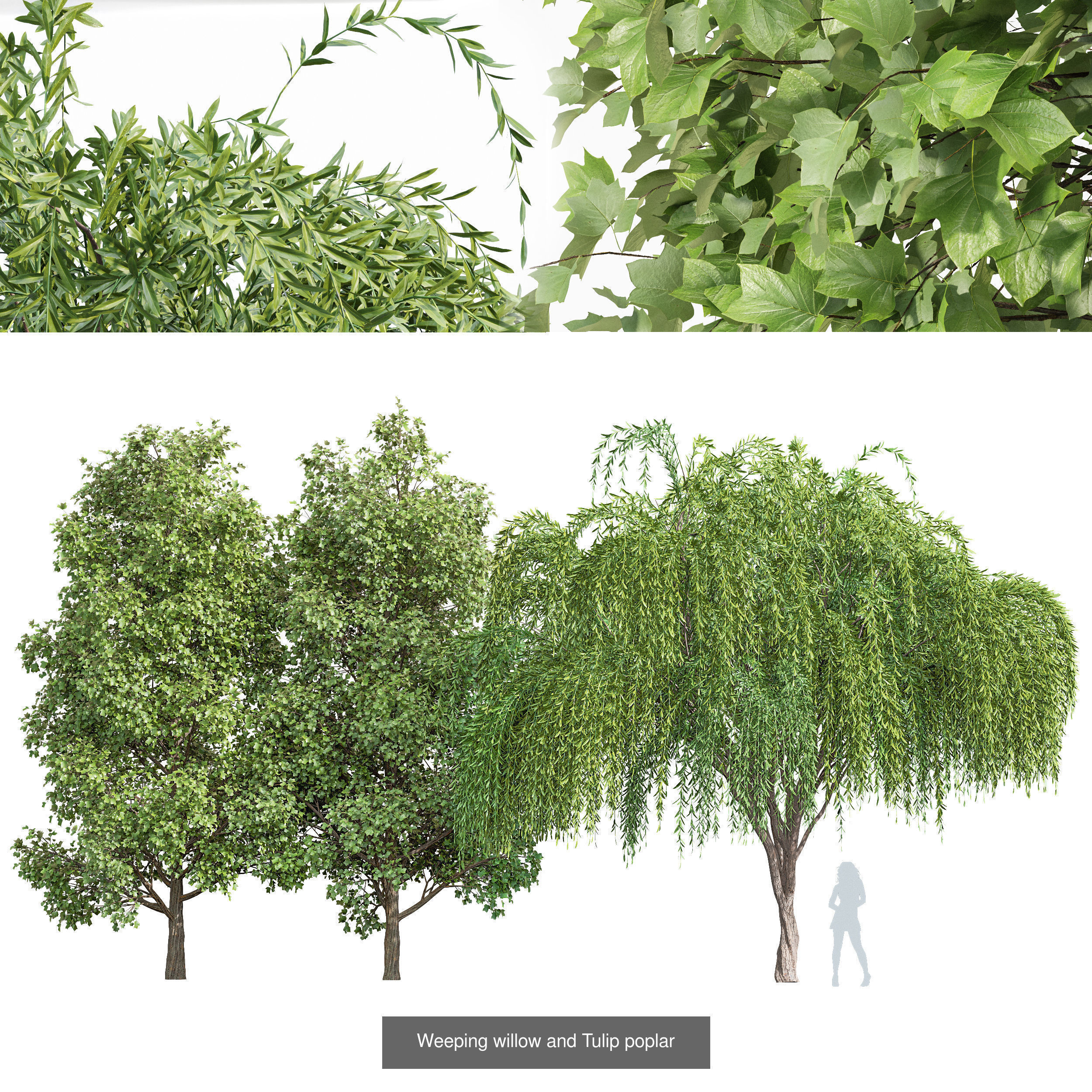 6 Different SETS of Tree SET VOL118 3D Model Collection_1
