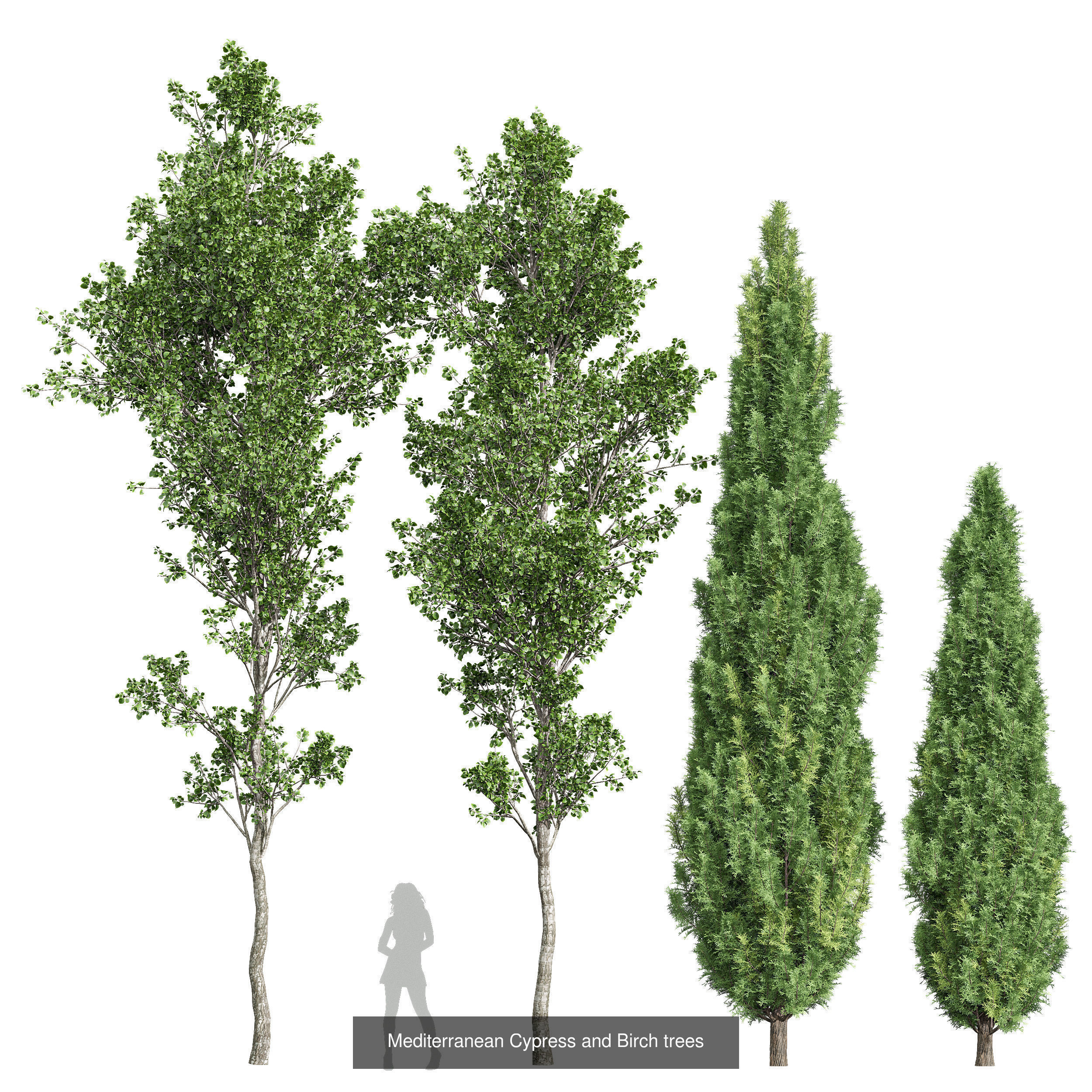 6 Different SETS of Tree SET VOL118 3D Model Collection_2
