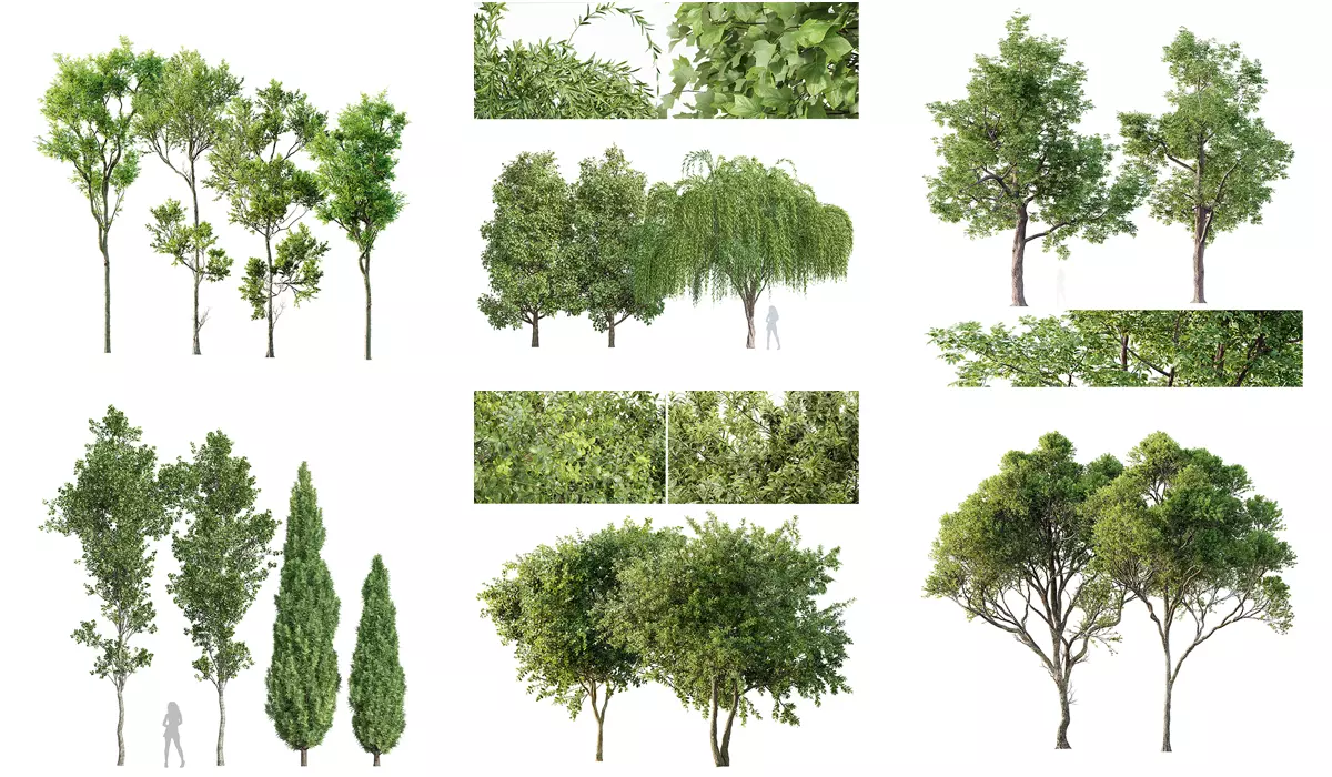 6 Different SETS of Tree SET VOL118 3D Model Collection_0