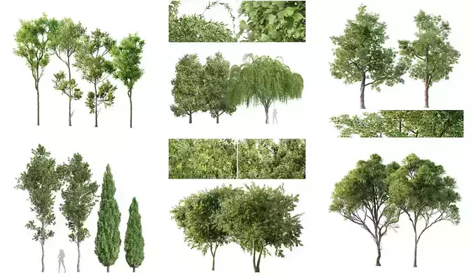 6 Different SETS of Tree SET VOL118 3D Model Collection