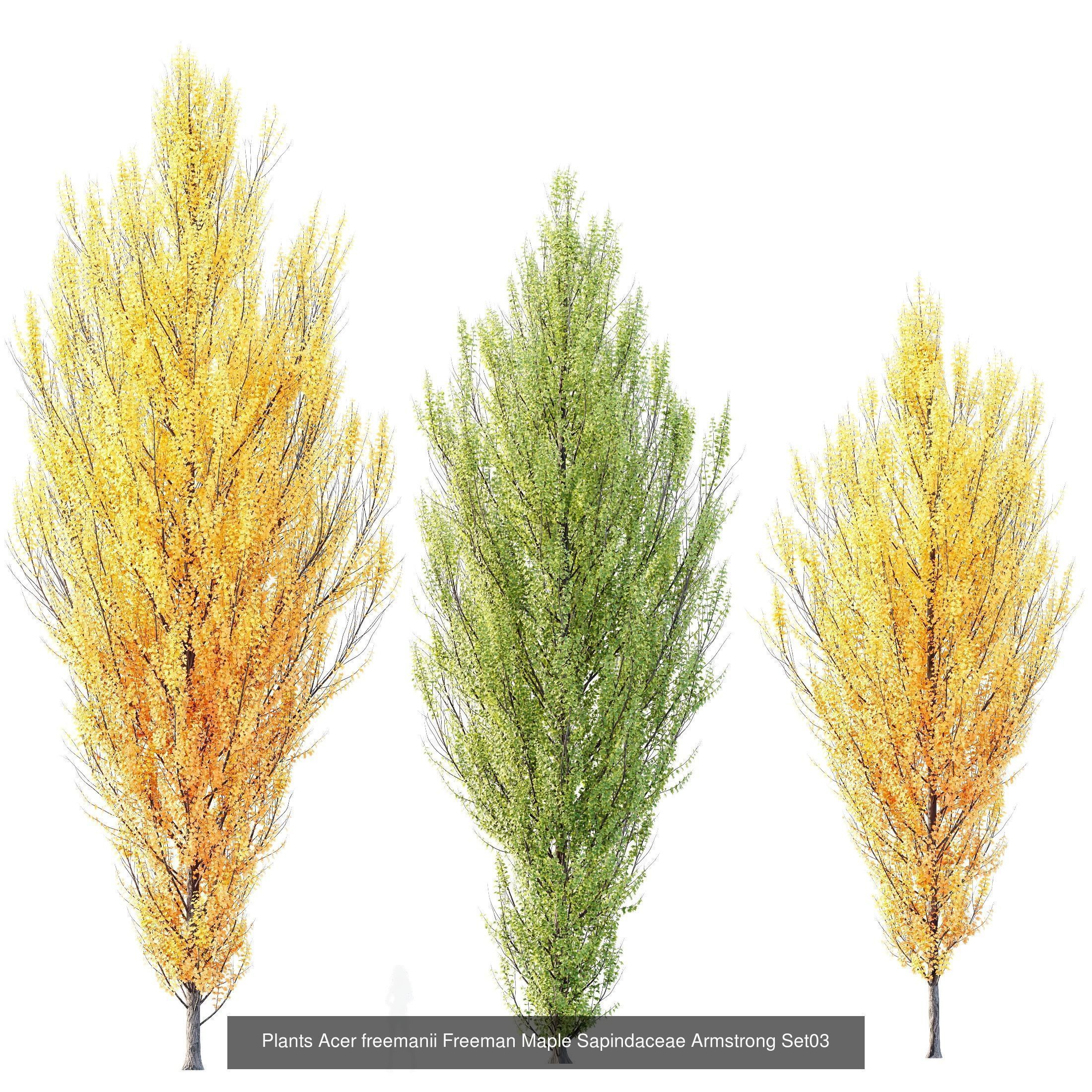 12 Different SETS of Tree SET VOL119 3D Model Collection_10