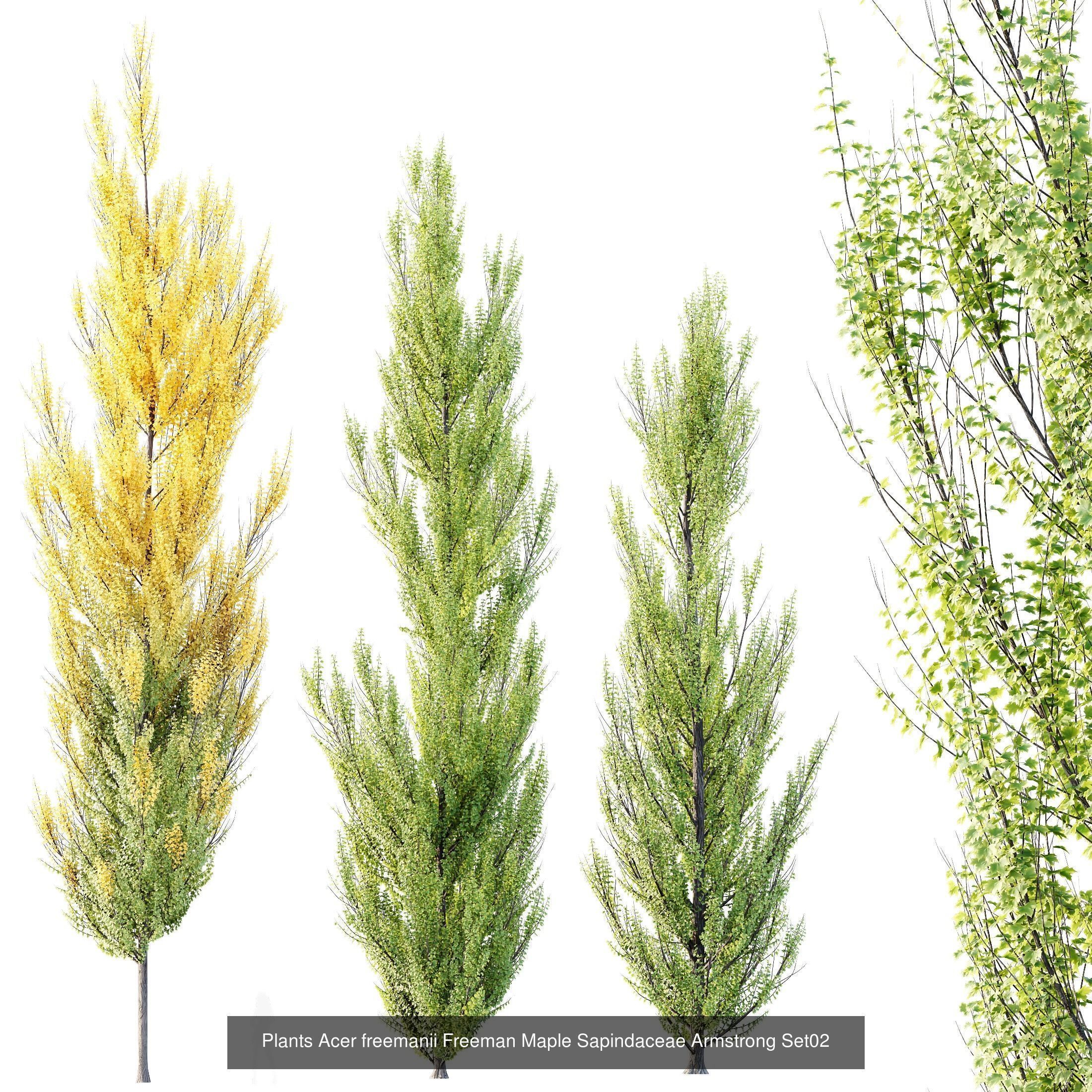 12 Different SETS of Tree SET VOL119 3D Model Collection_11