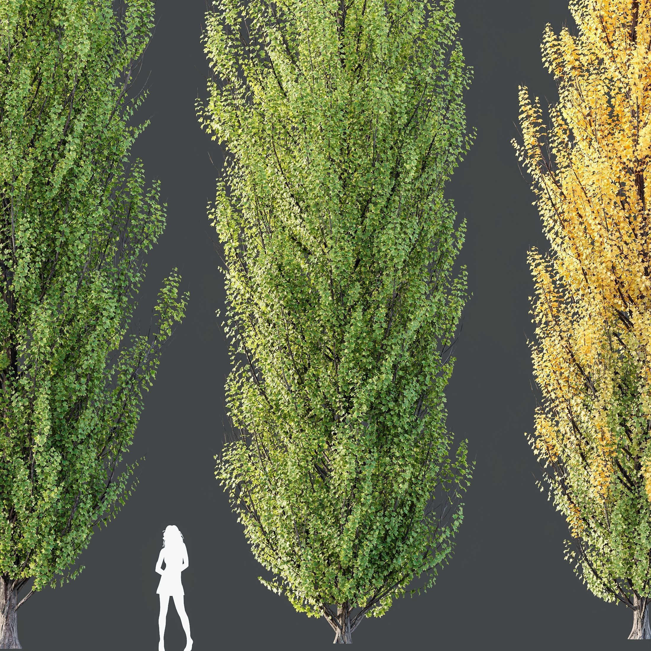 12 Different SETS of Tree SET VOL119 3D Model Collection_15