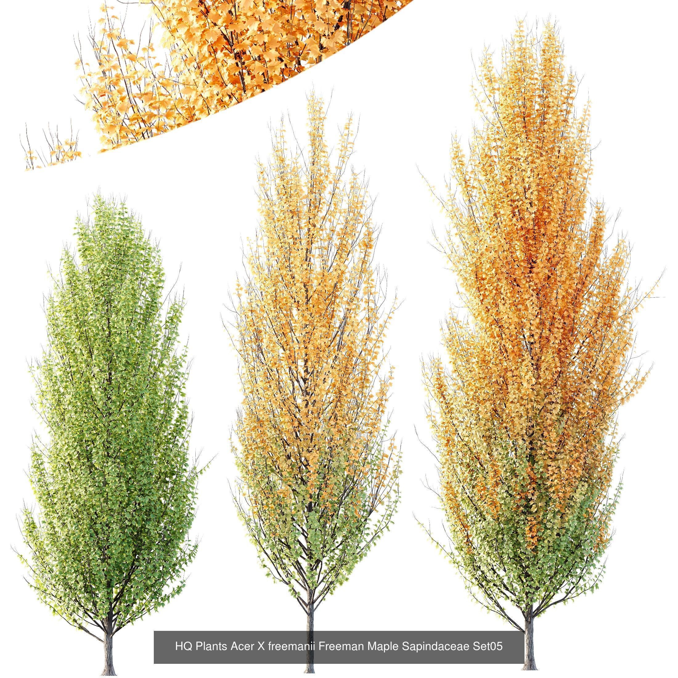12 Different SETS of Tree SET VOL119 3D Model Collection_3