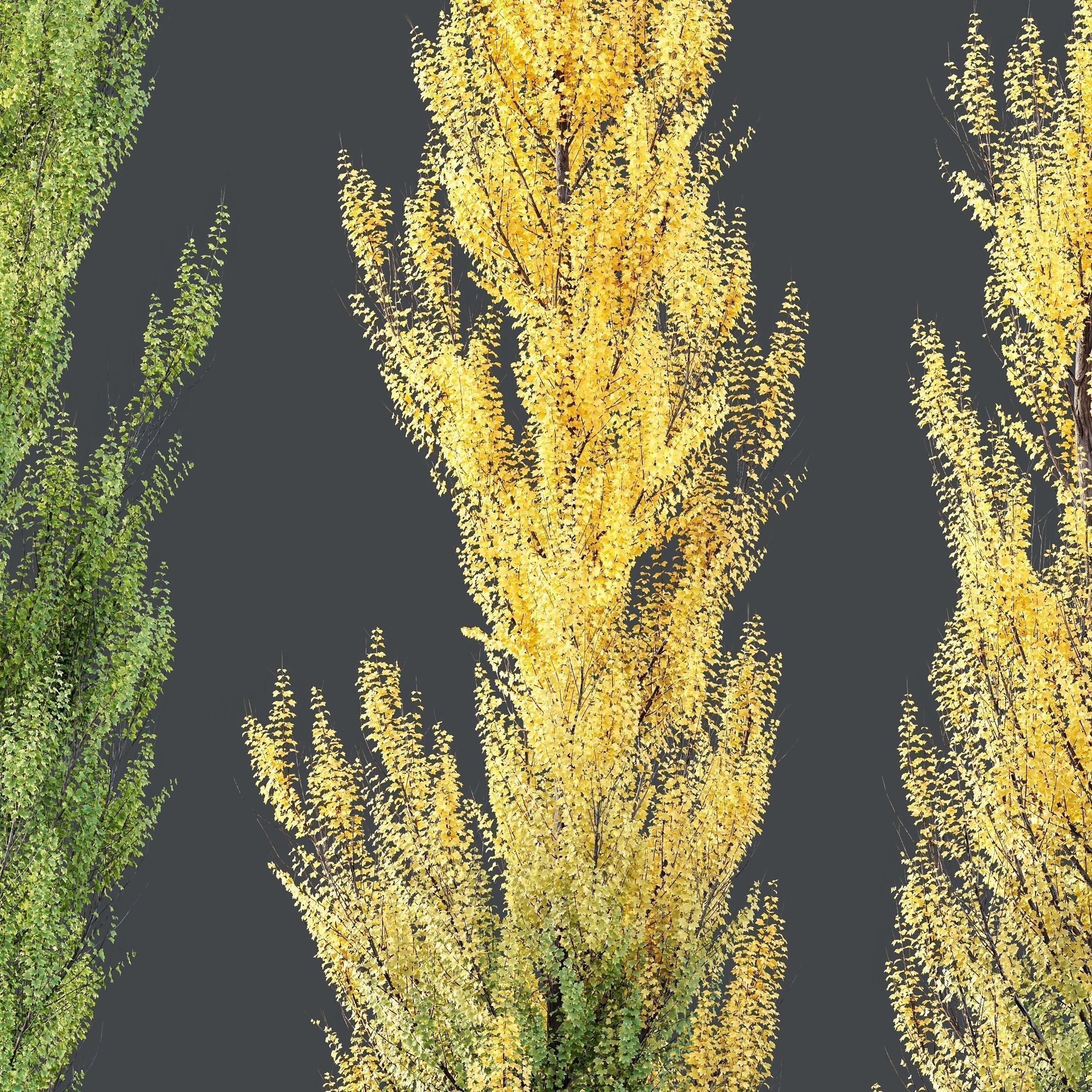 12 Different SETS of Tree SET VOL119 3D Model Collection_18