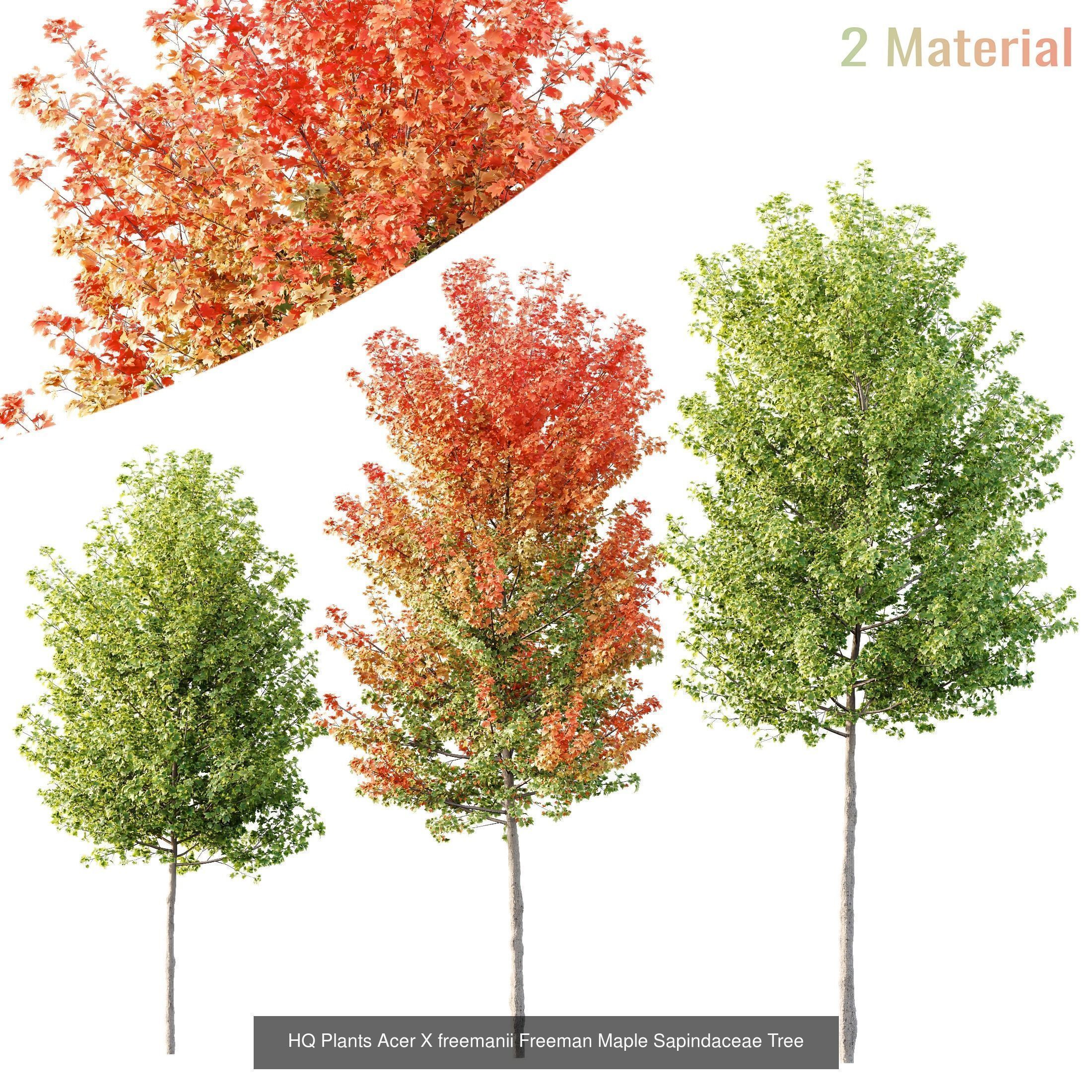 12 Different SETS of Tree SET VOL119 3D Model Collection_1
