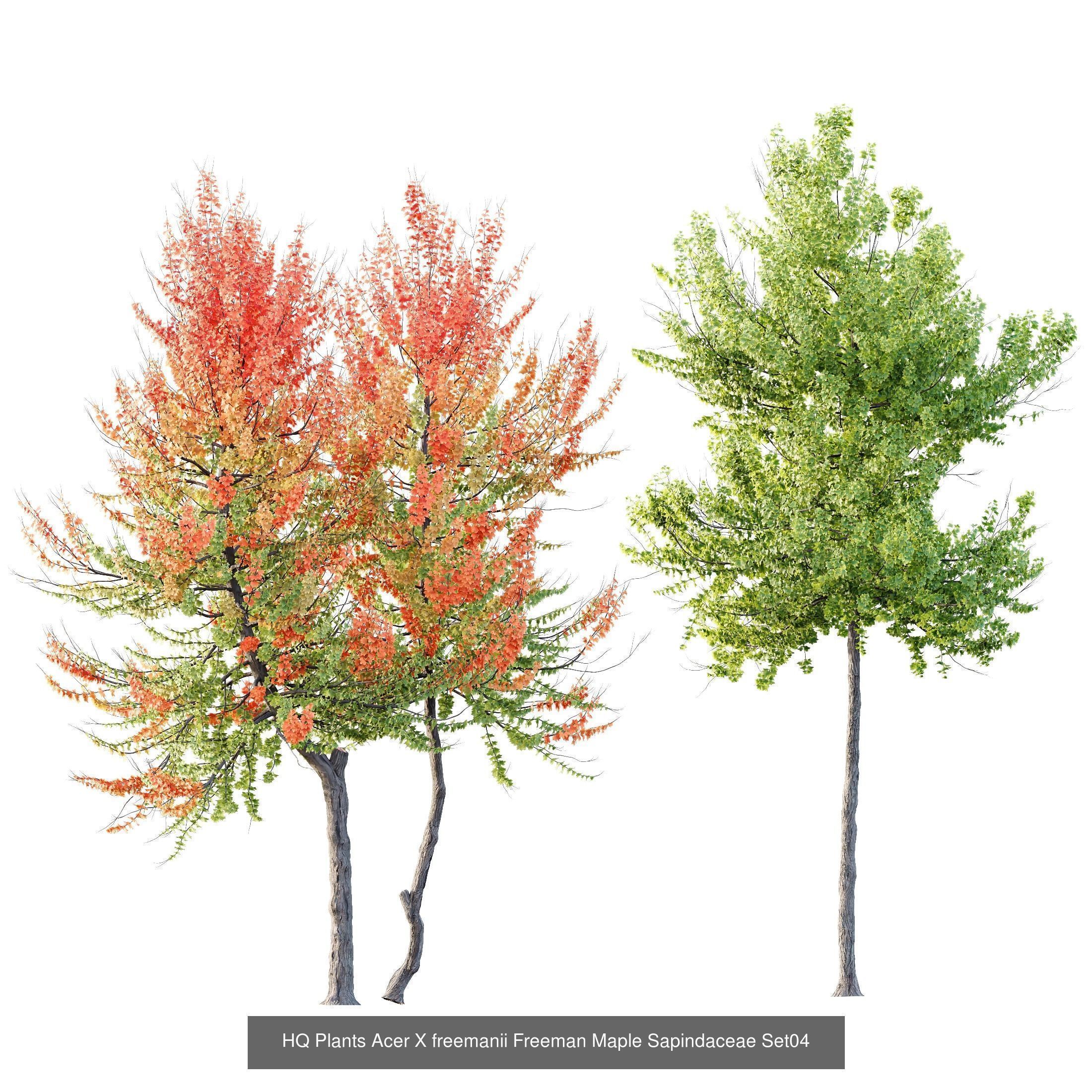 12 Different SETS of Tree SET VOL119 3D Model Collection_7