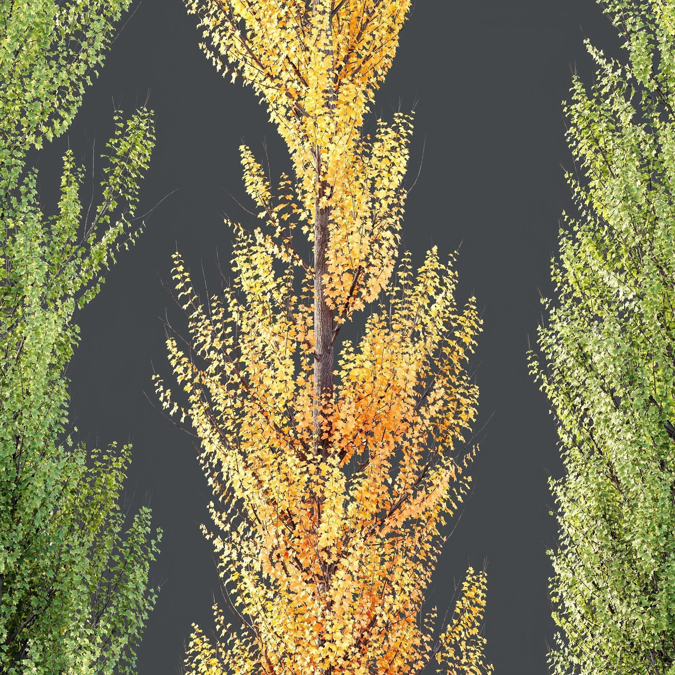 12 Different SETS of Tree SET VOL119 3D Model Collection_14