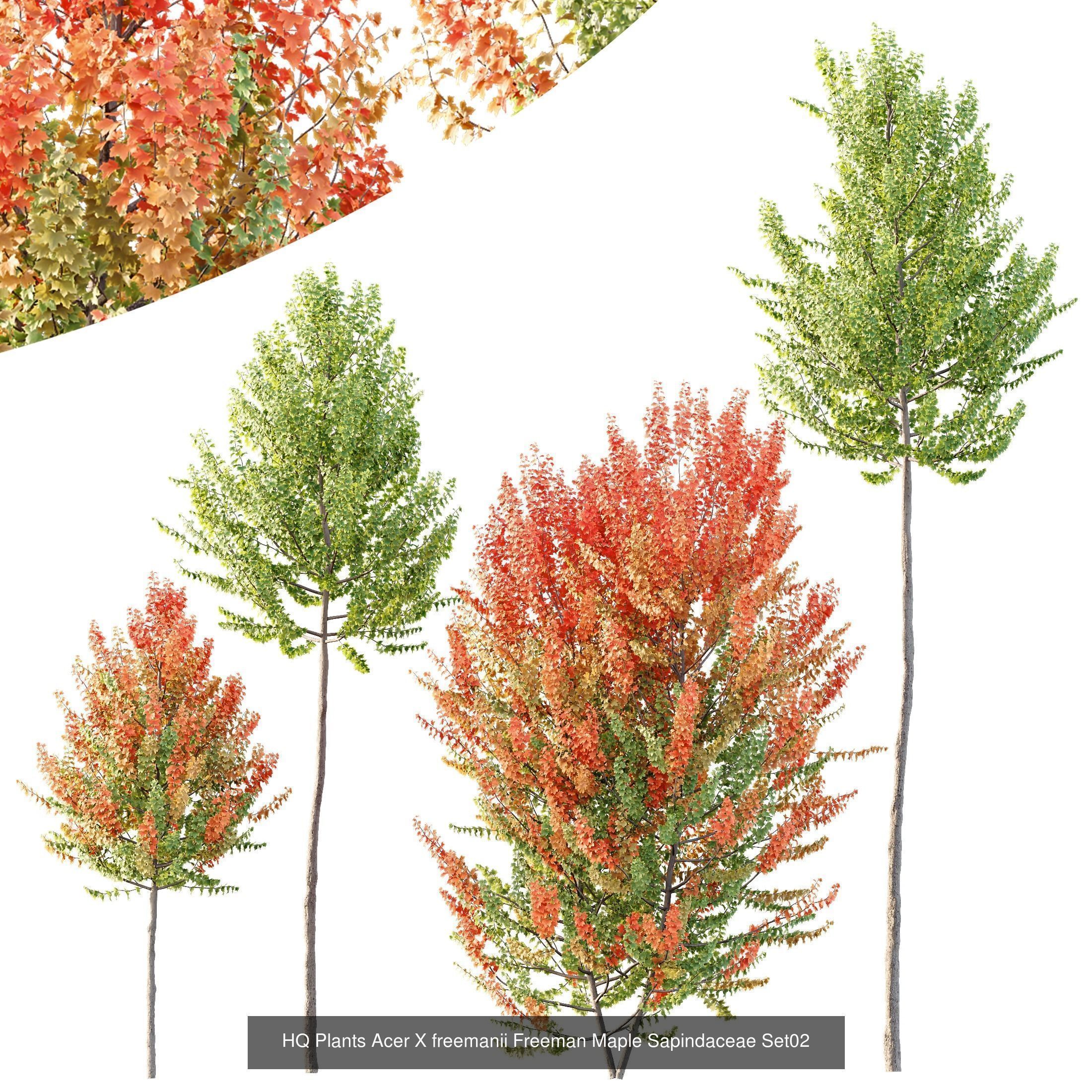 12 Different SETS of Tree SET VOL119 3D Model Collection_2